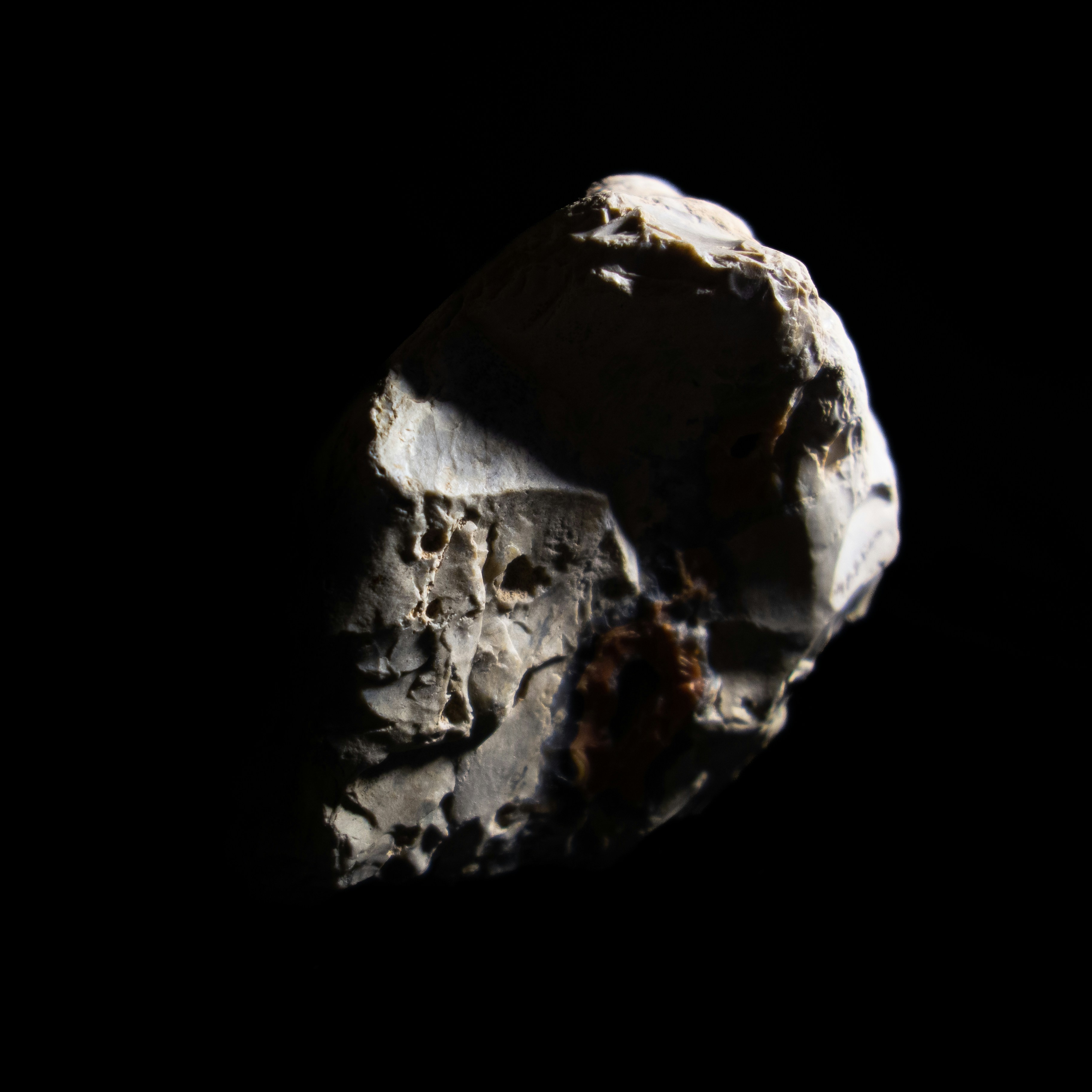 Photo by leydenfrost