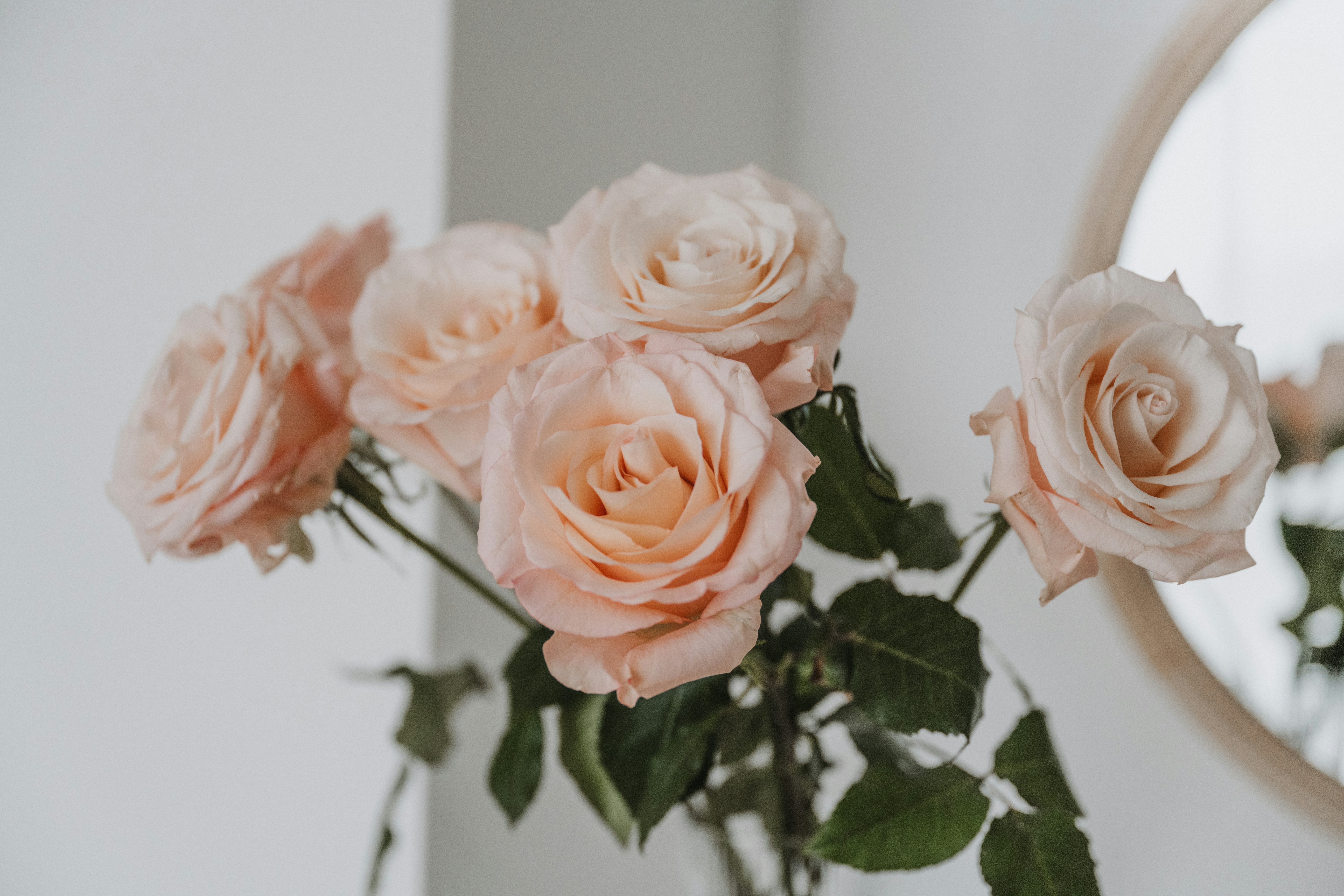 Photo by anitaaustvika