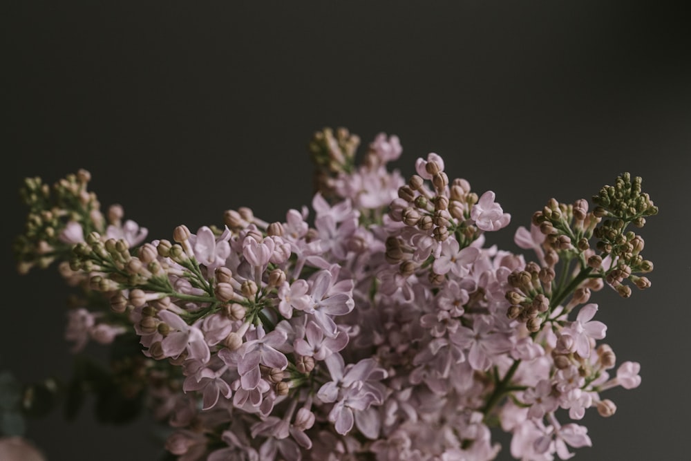 un vase rempli de fleurs violettes sur le dessus d’une table