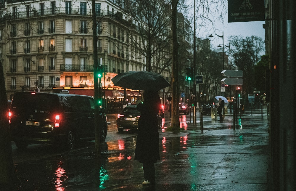 a person holding an umbrella on a rainy street