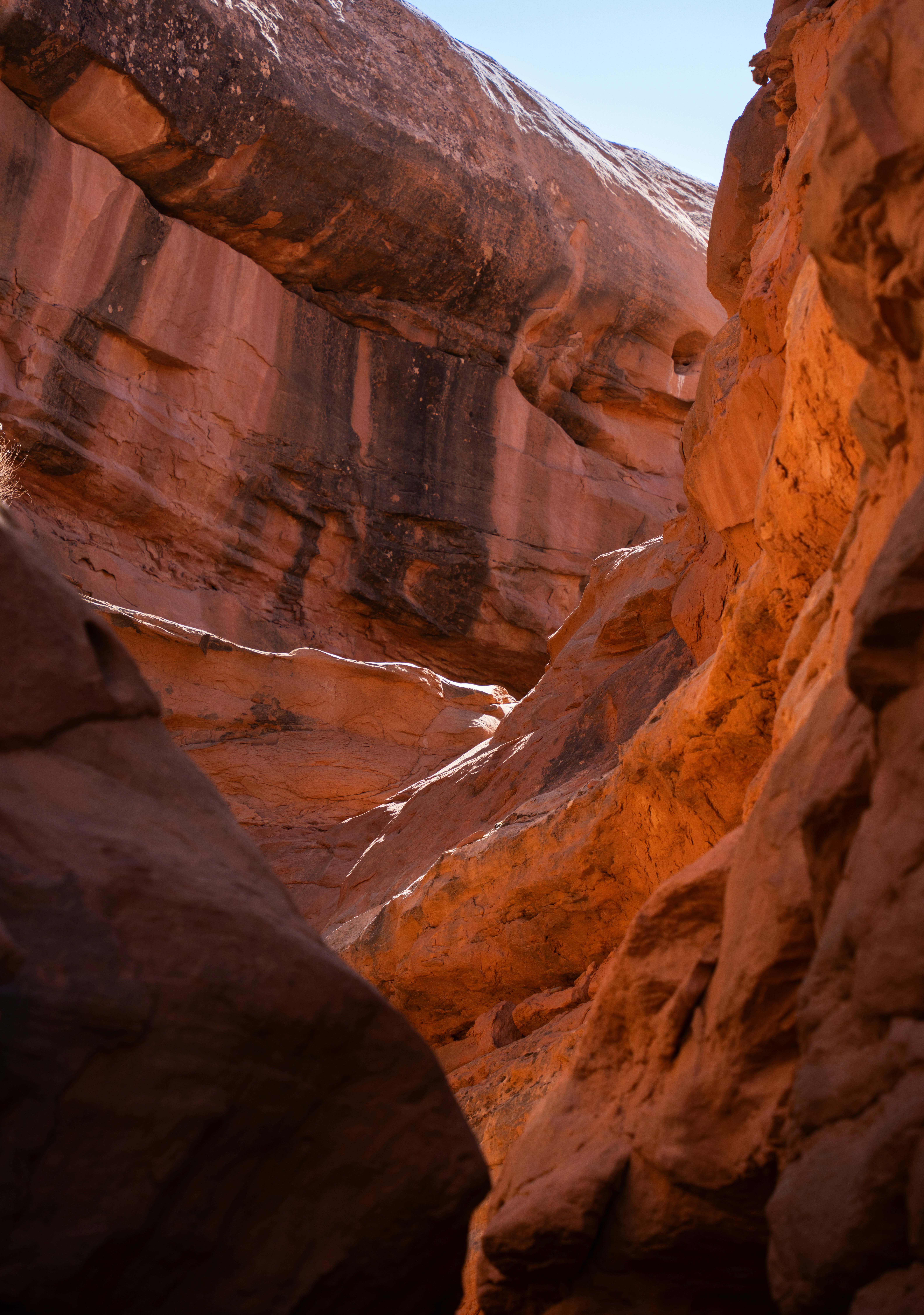 Photo by alexmoliski