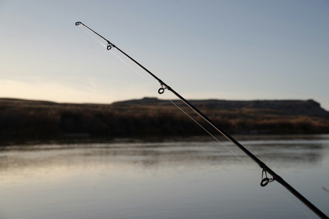 fishing rod closeup