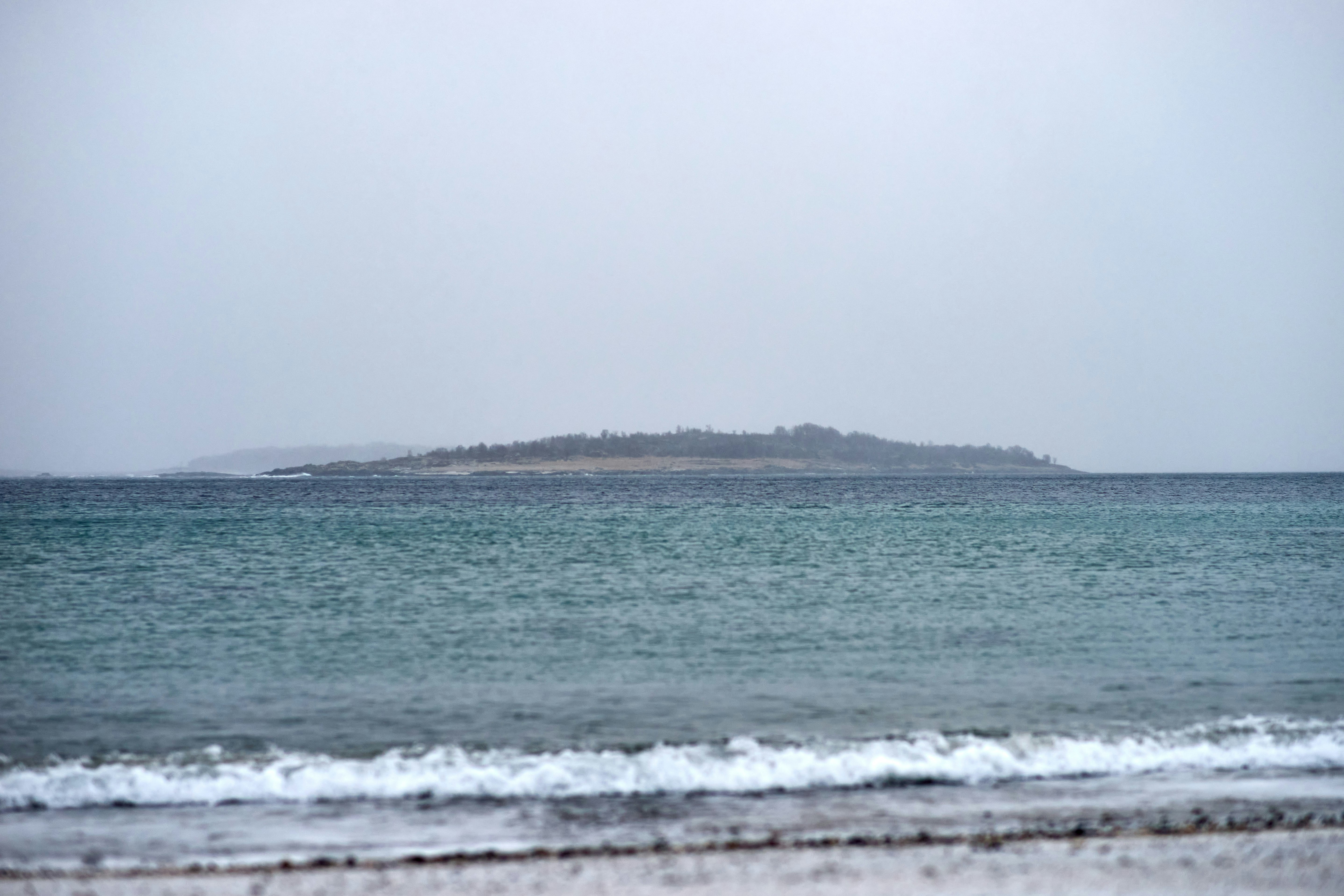 Photo by wolfgang_hasselmann