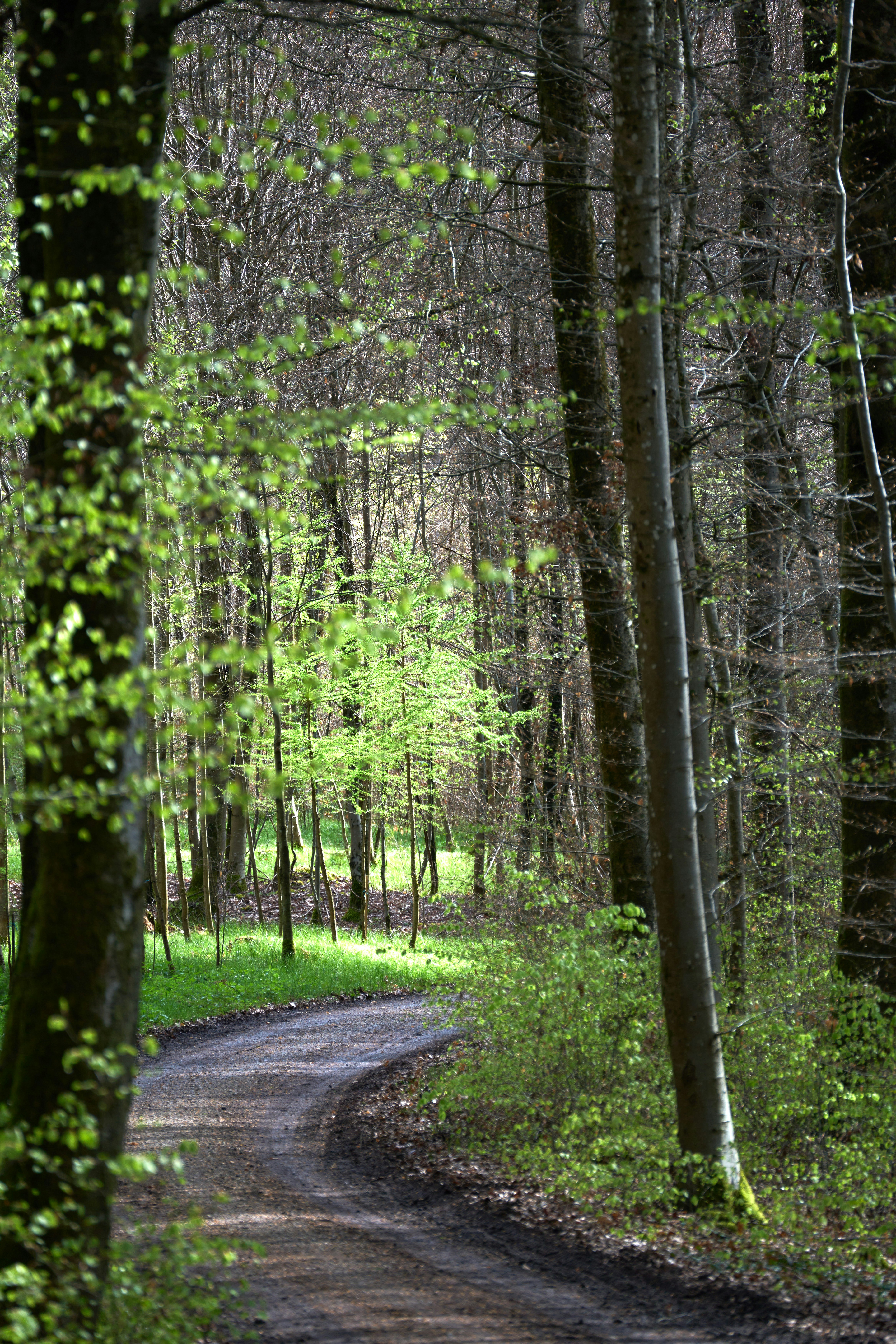 Photo by wolfgang_hasselmann