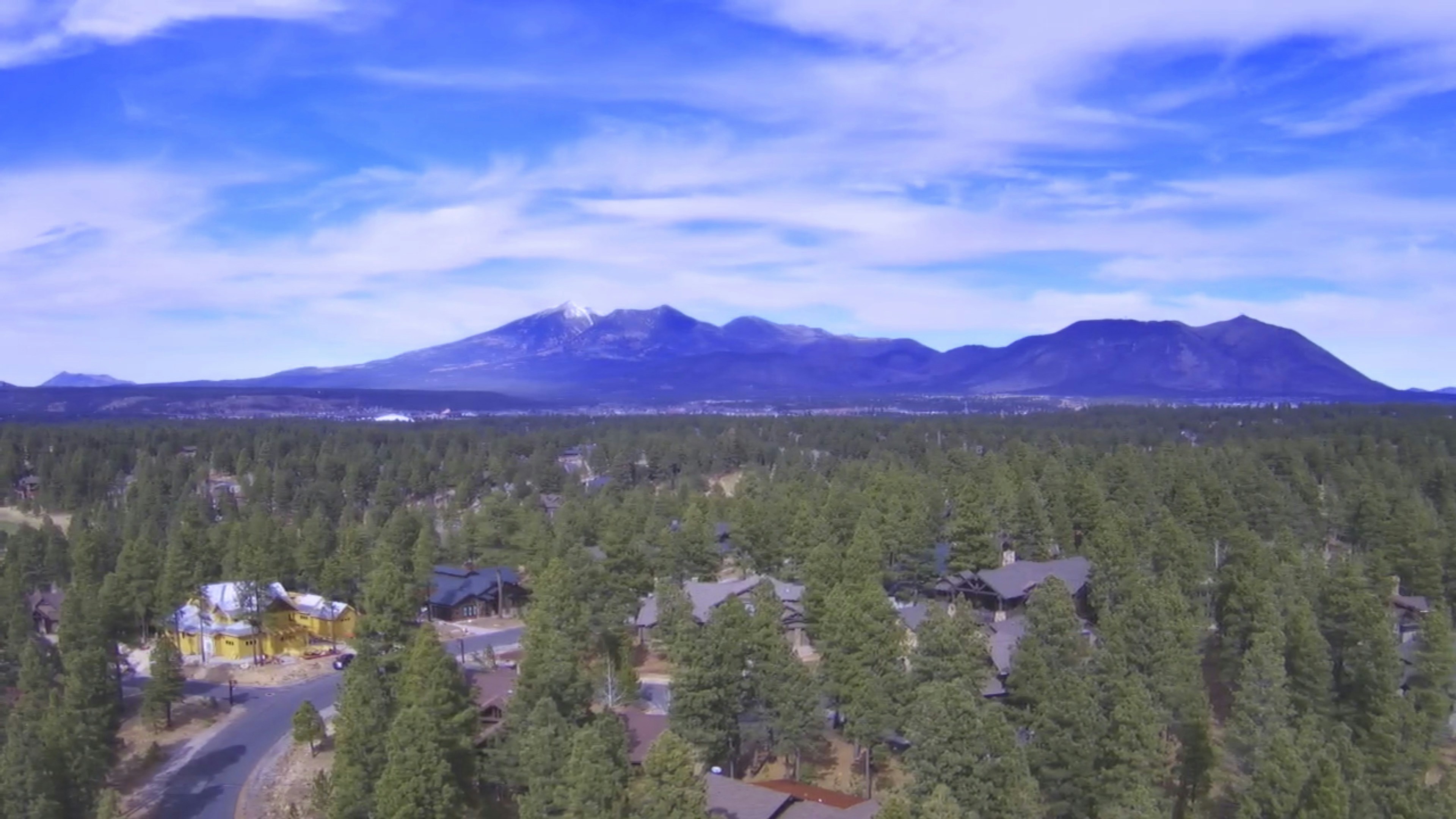 Aerial view of a tiny house community nestled among tall pine trees