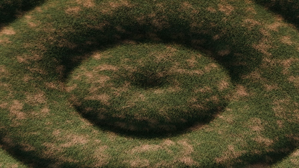 an aerial view of a grassy area with a spiral design
