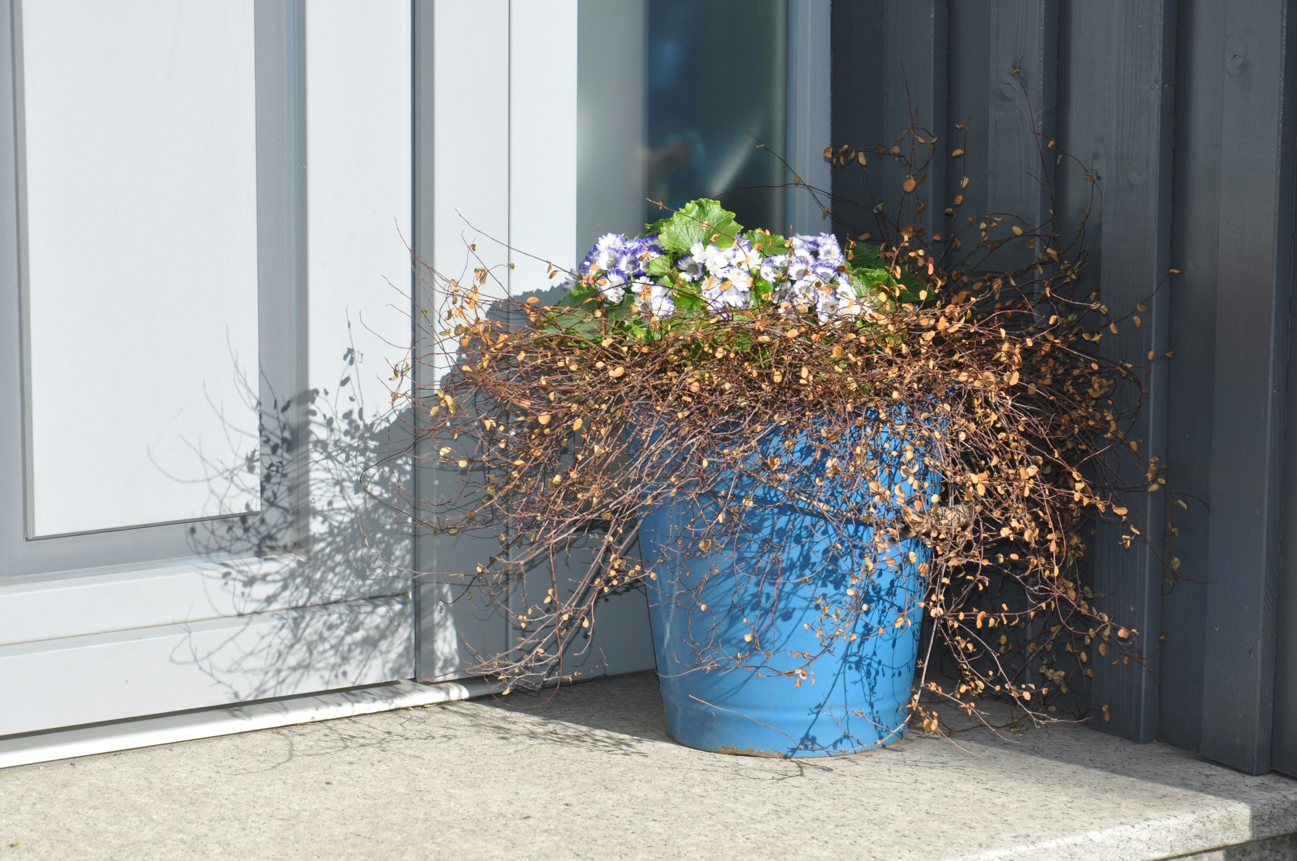 a blue planter filled with purple and white flowers