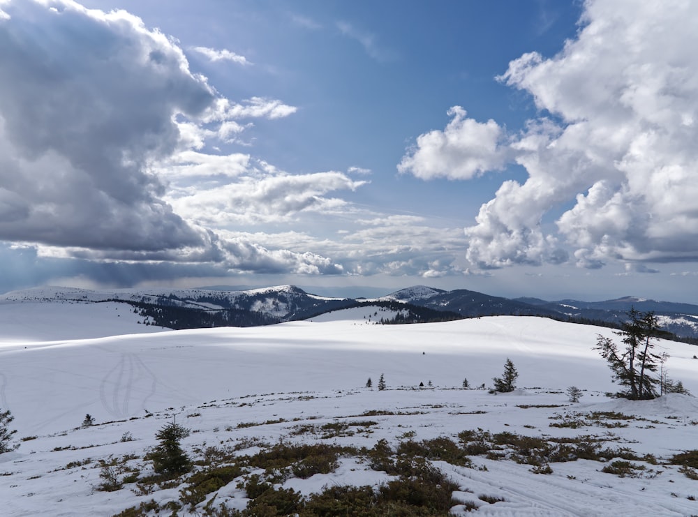 a snow covered field with trees and mountains in the background