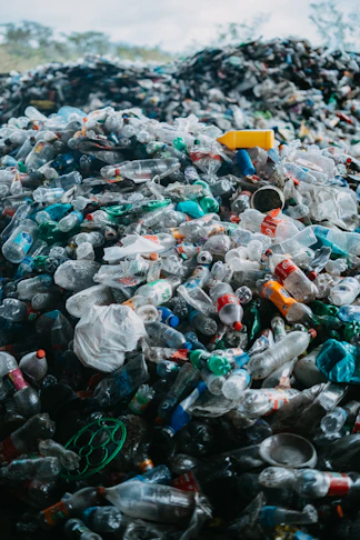 a large pile of plastic bottles and cans