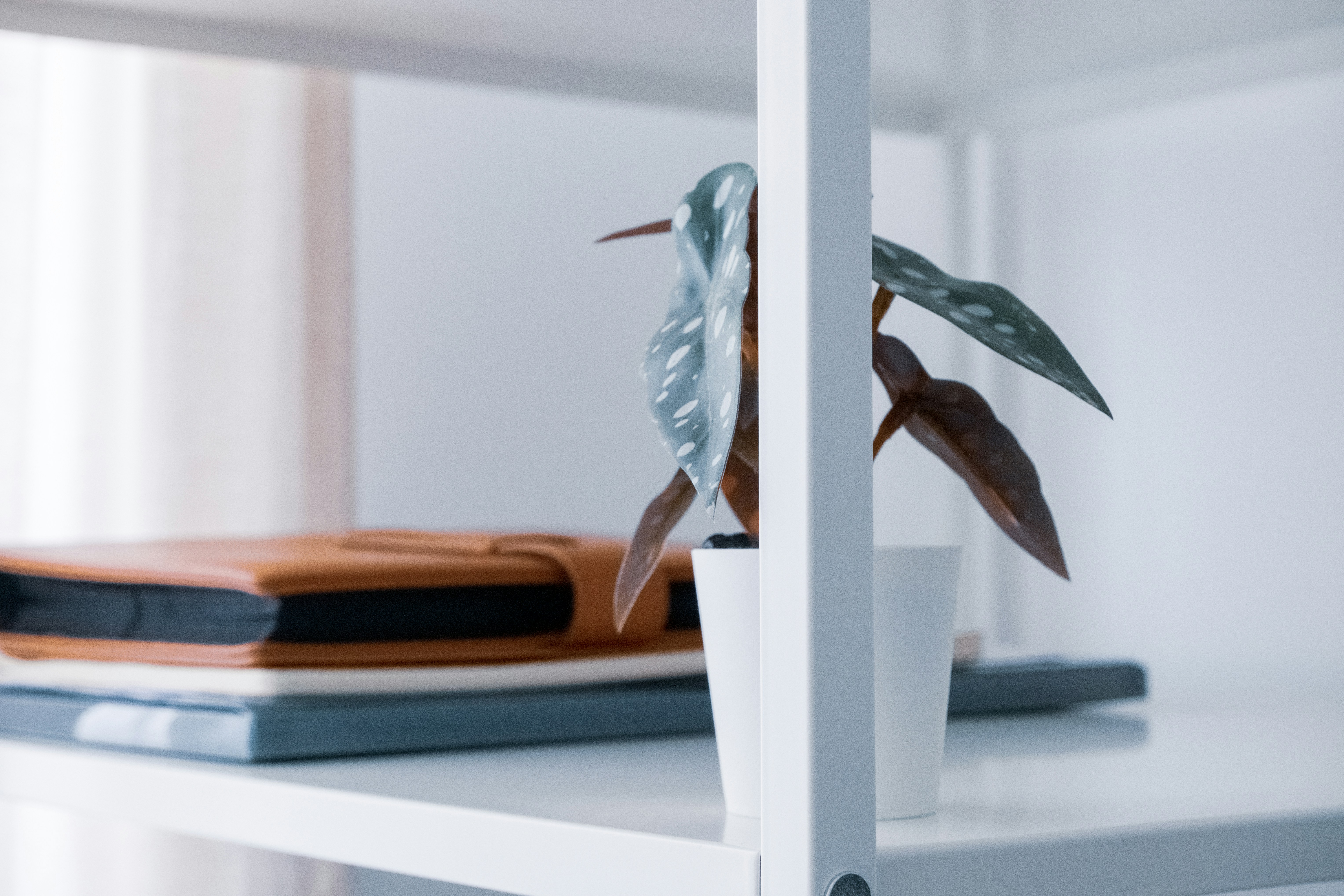 Photo by marinacarvalho