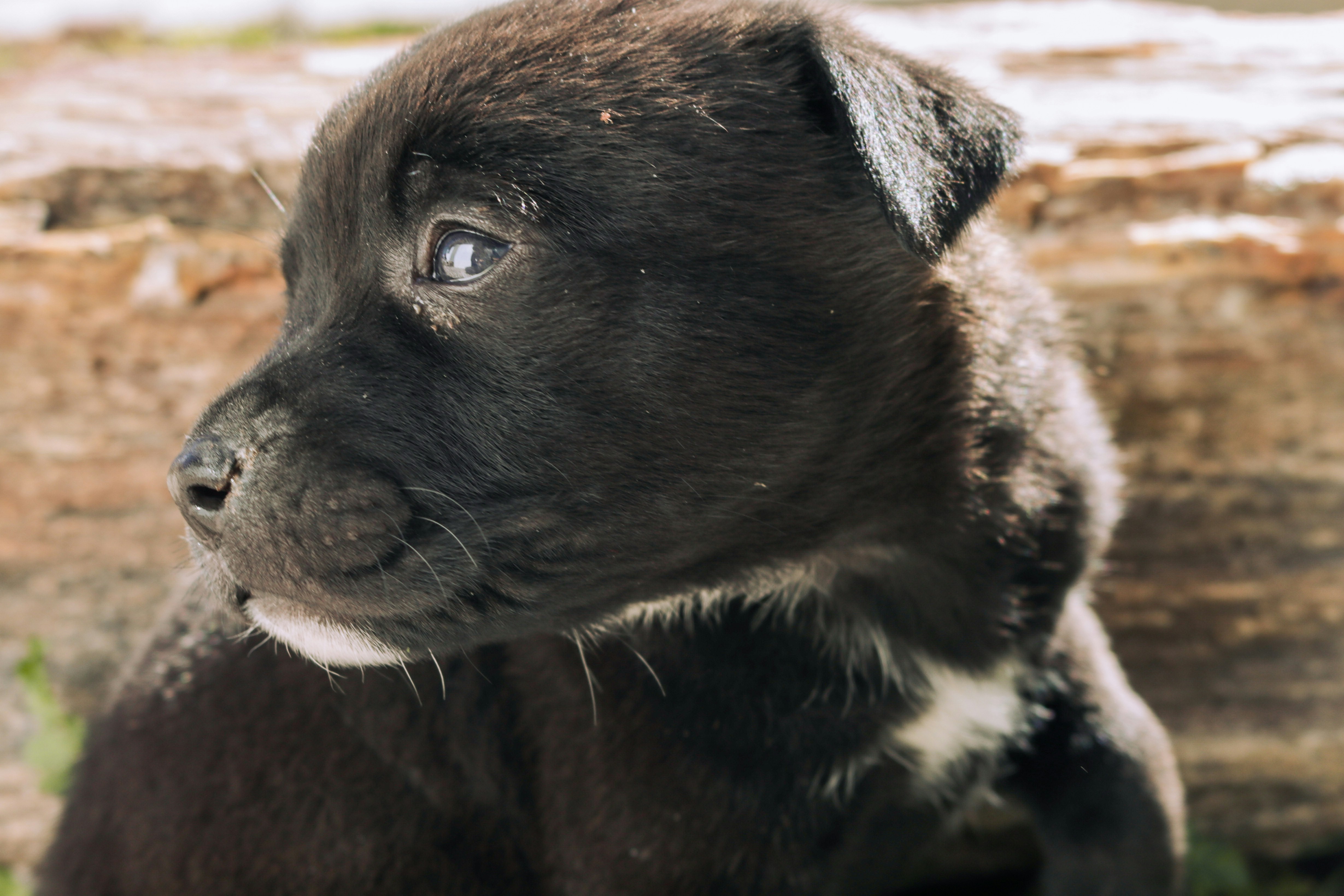 Photo by ezekiel_see