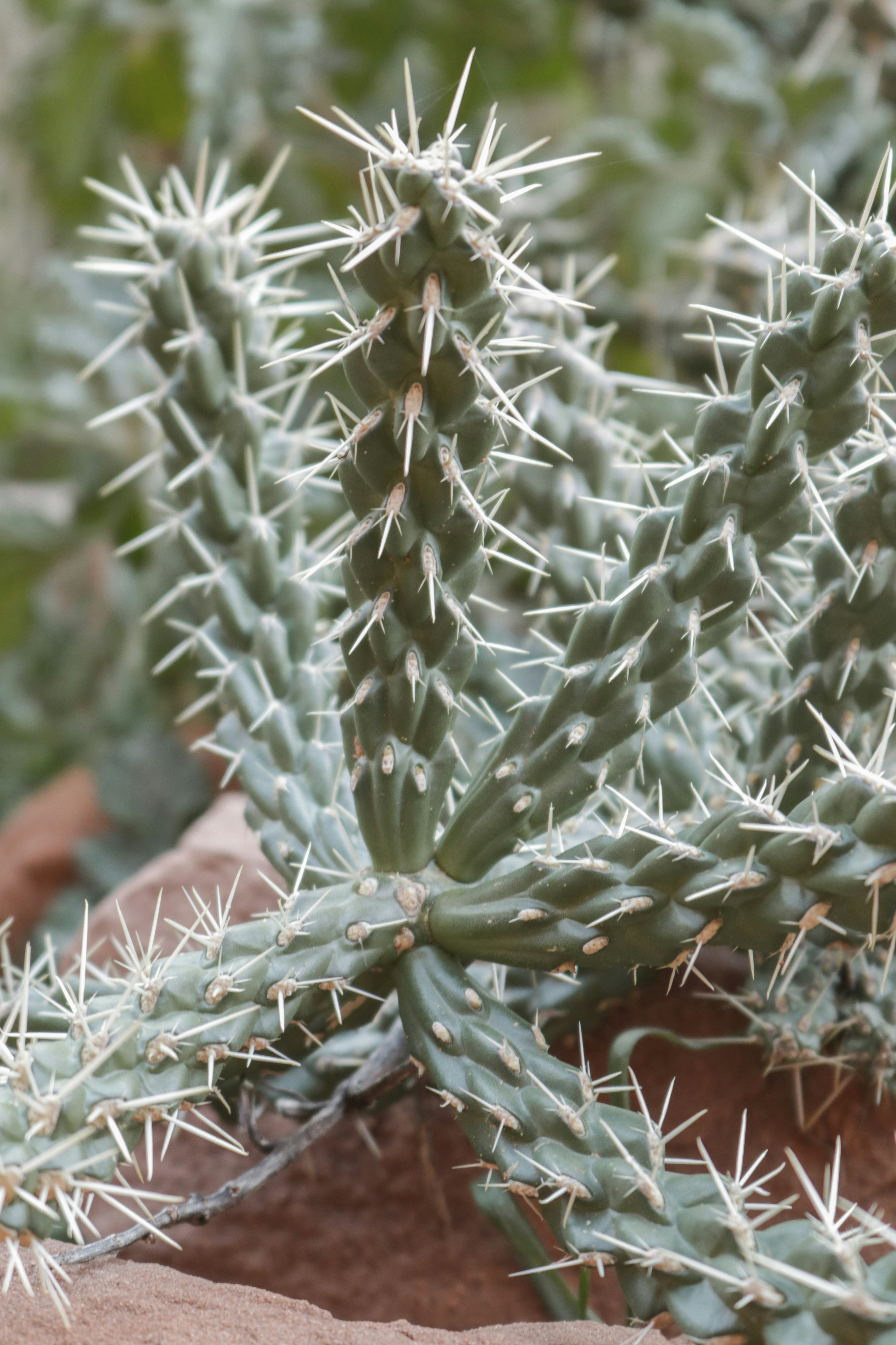 Photo by ezekiel_see