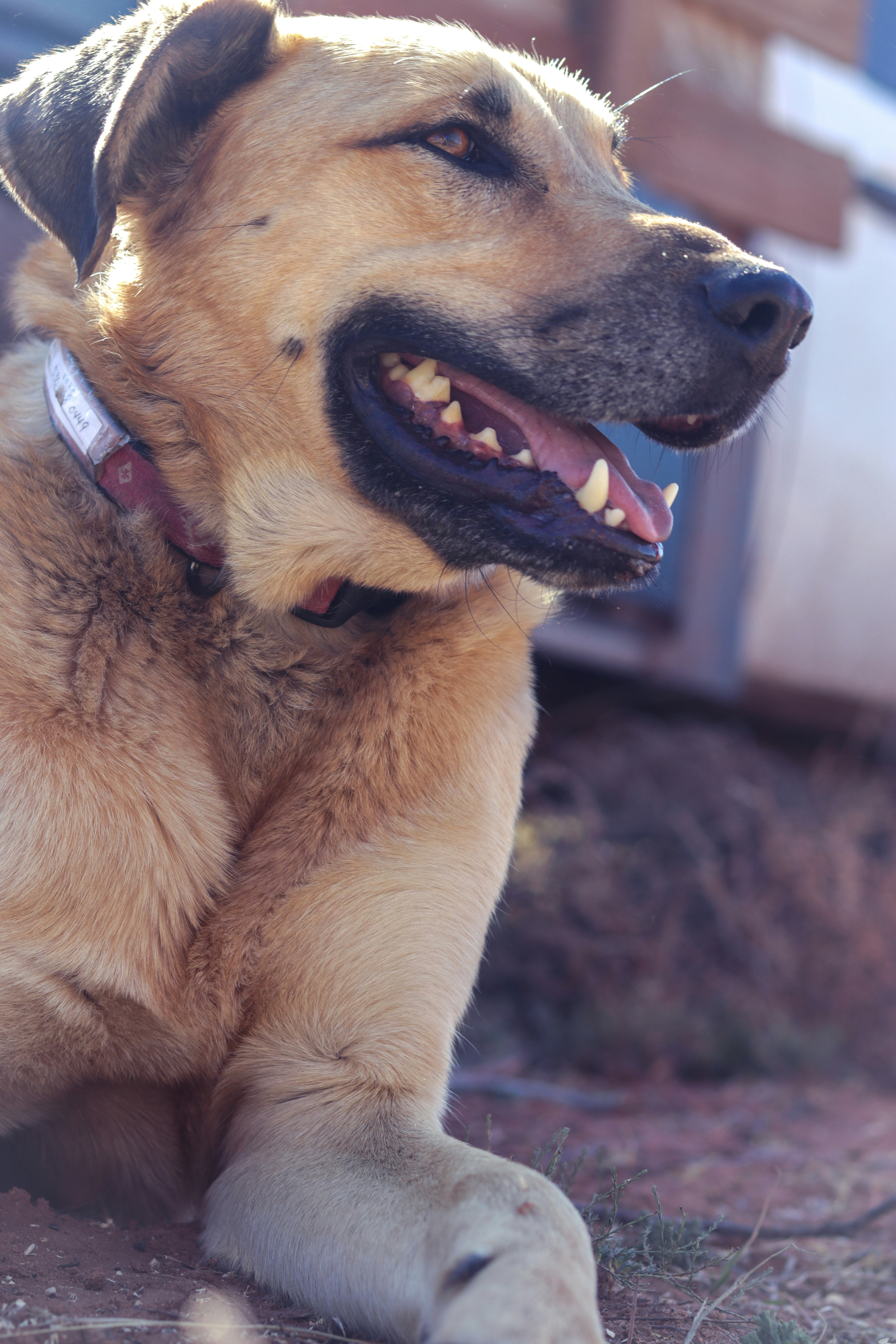 Photo by ezekiel_see