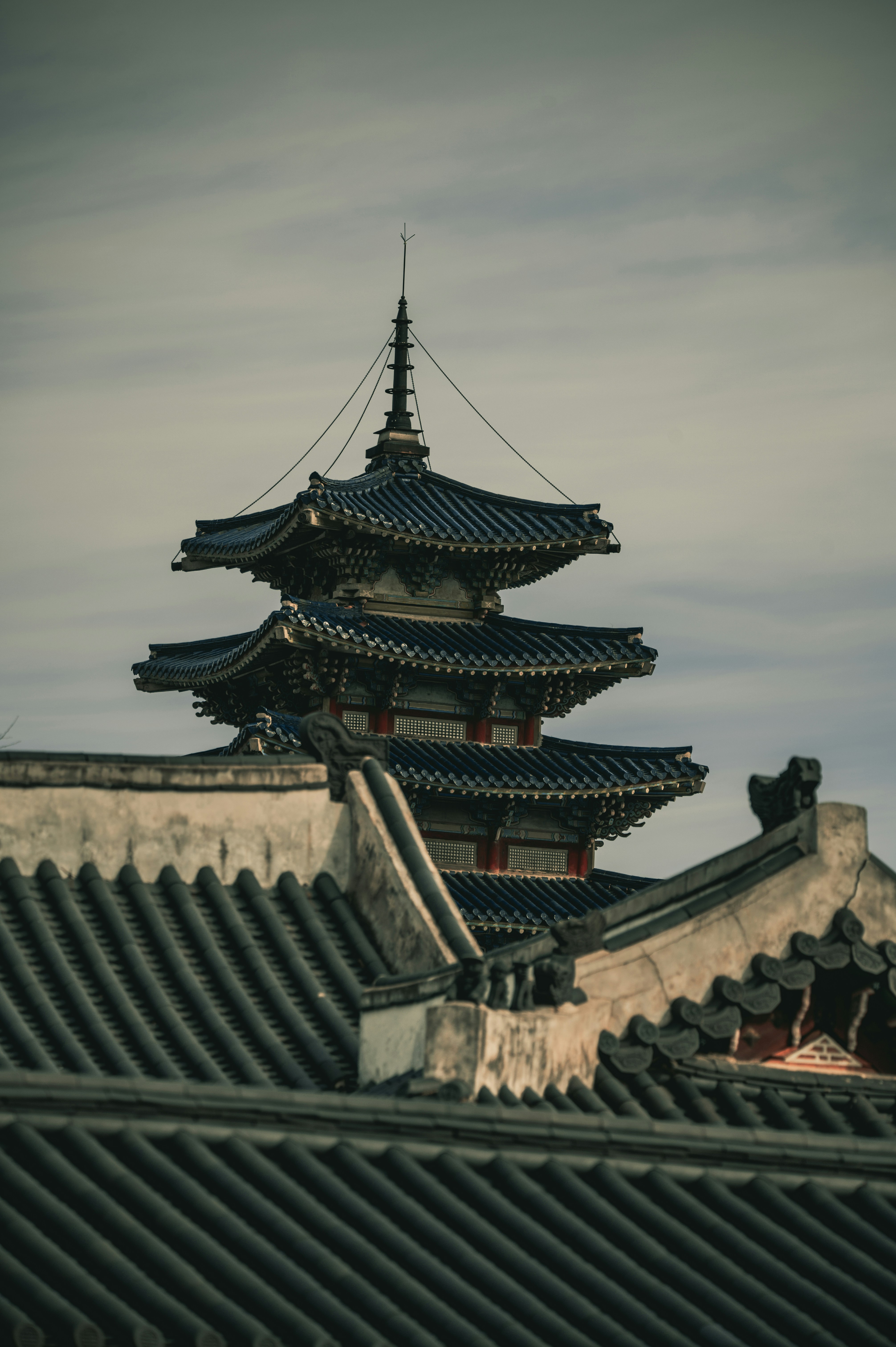 Photo by lando2