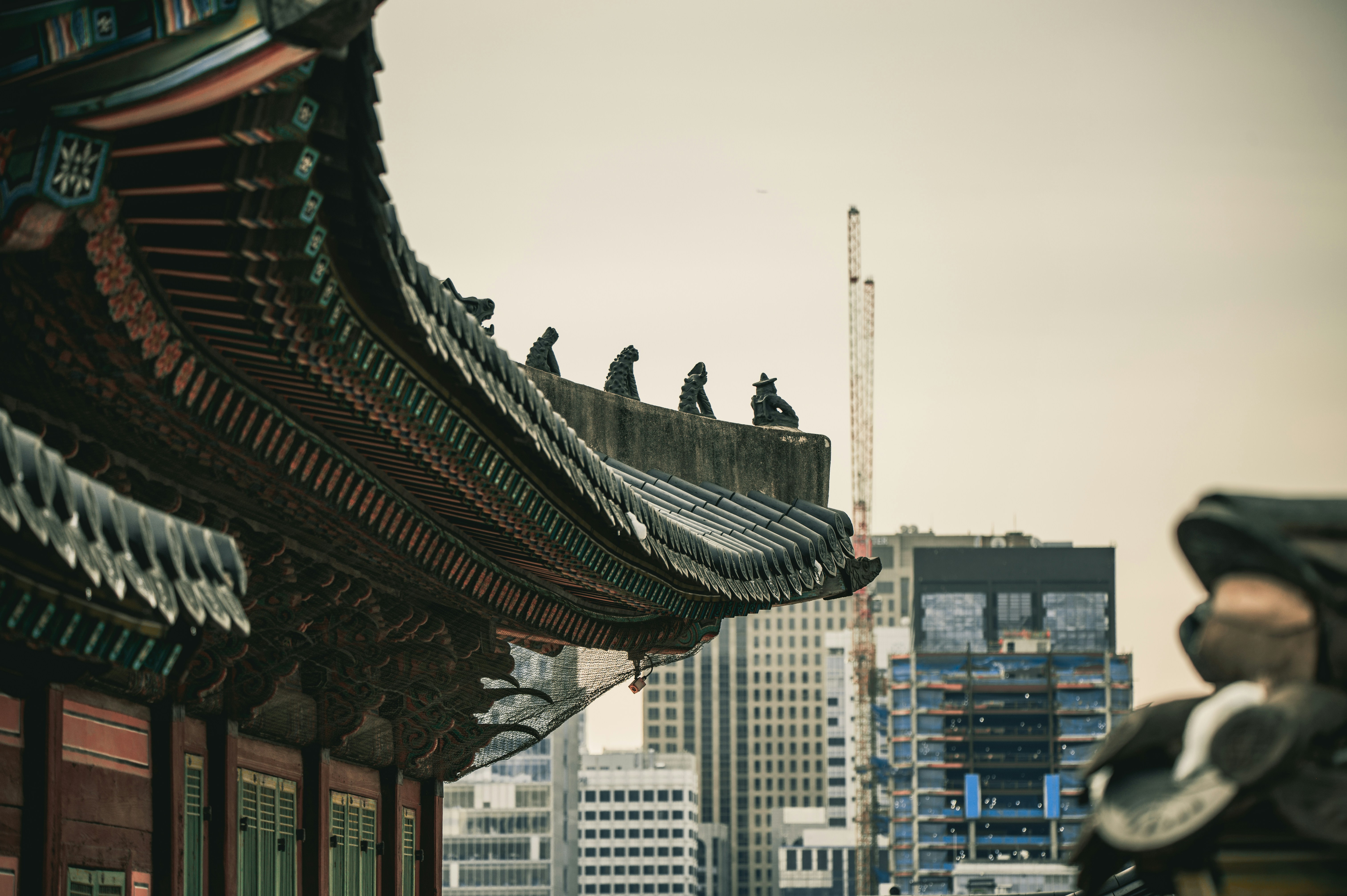 Photo by lando2