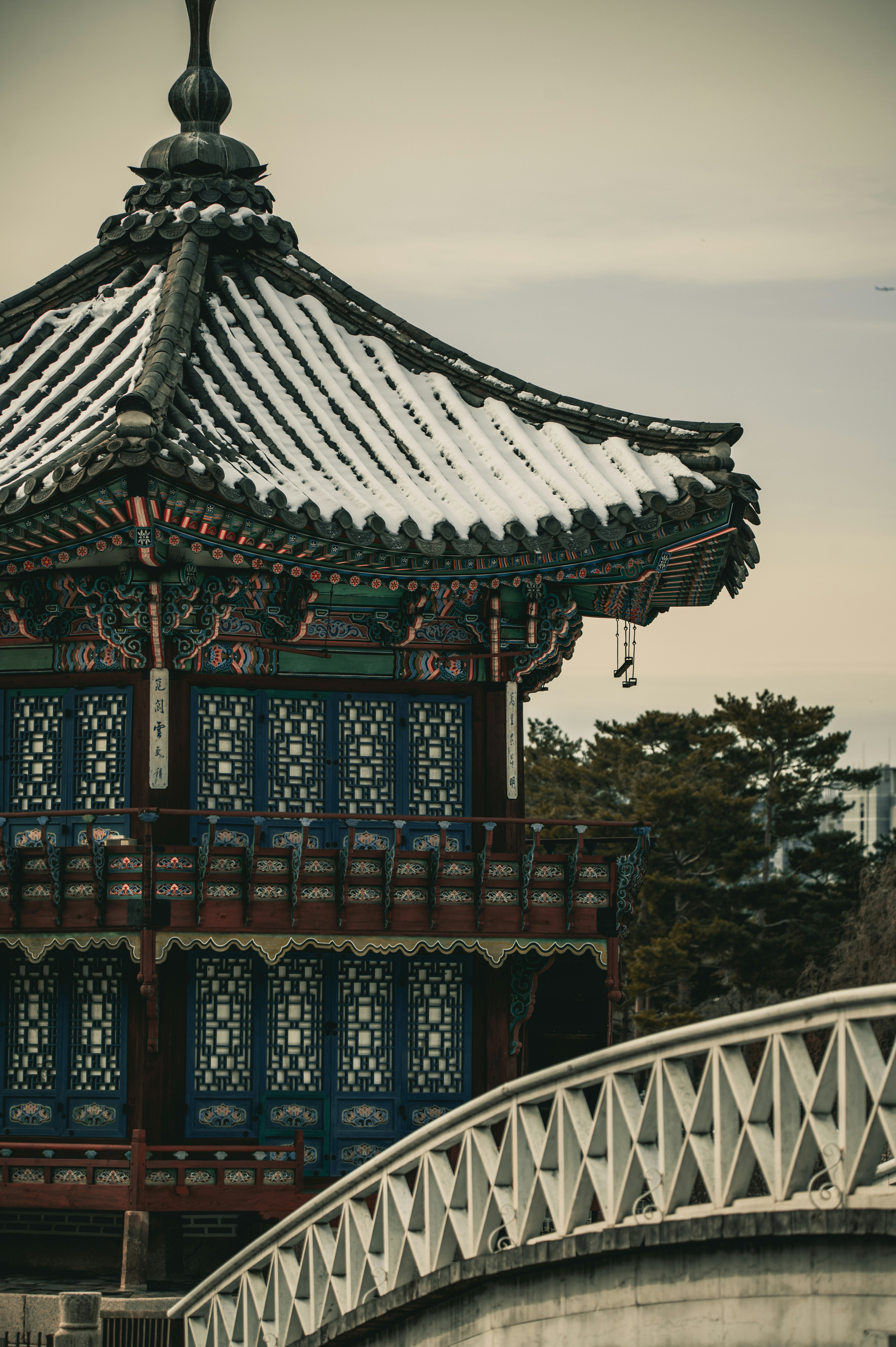 Photo by lando2