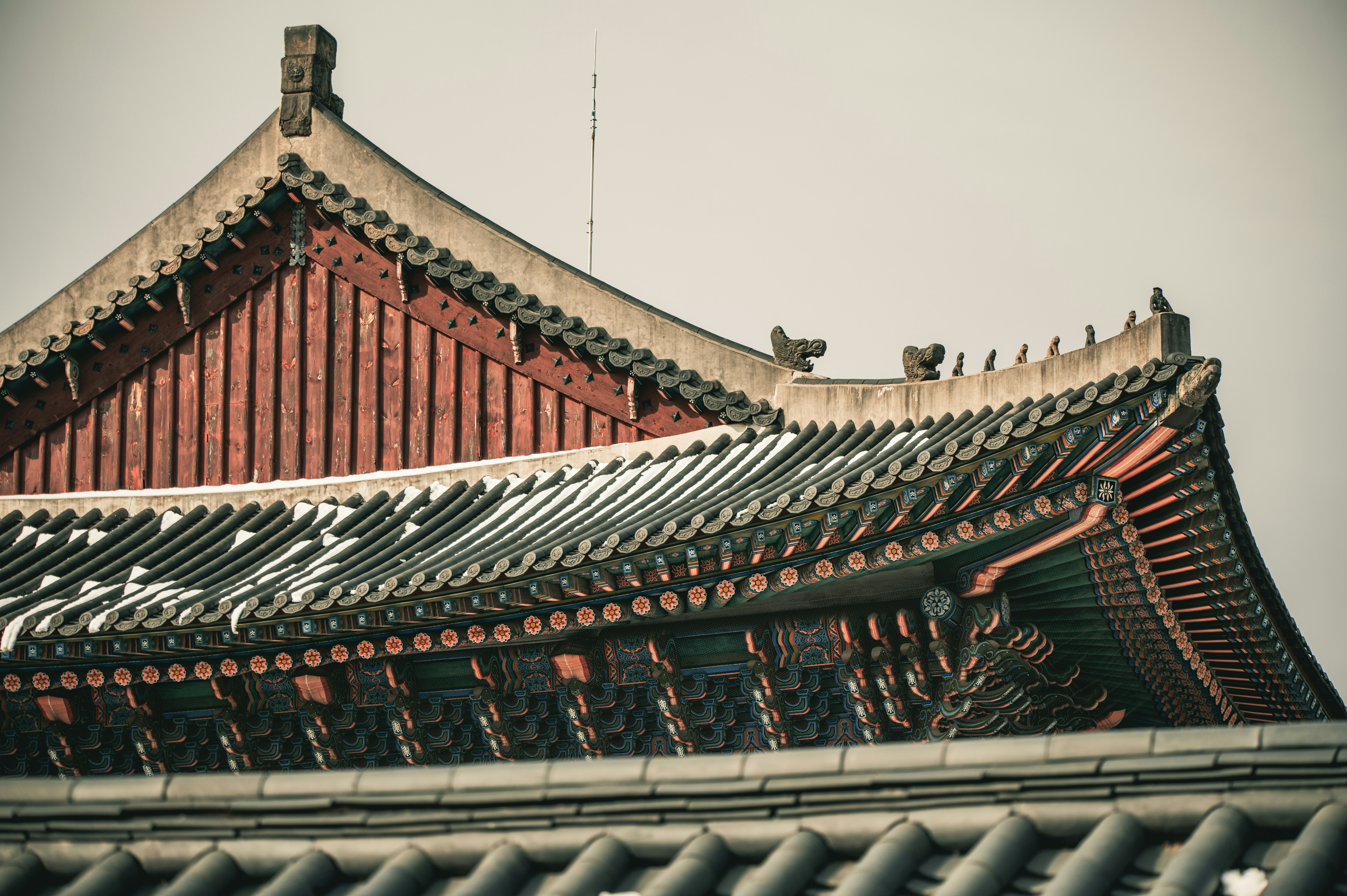 Photo by lando2