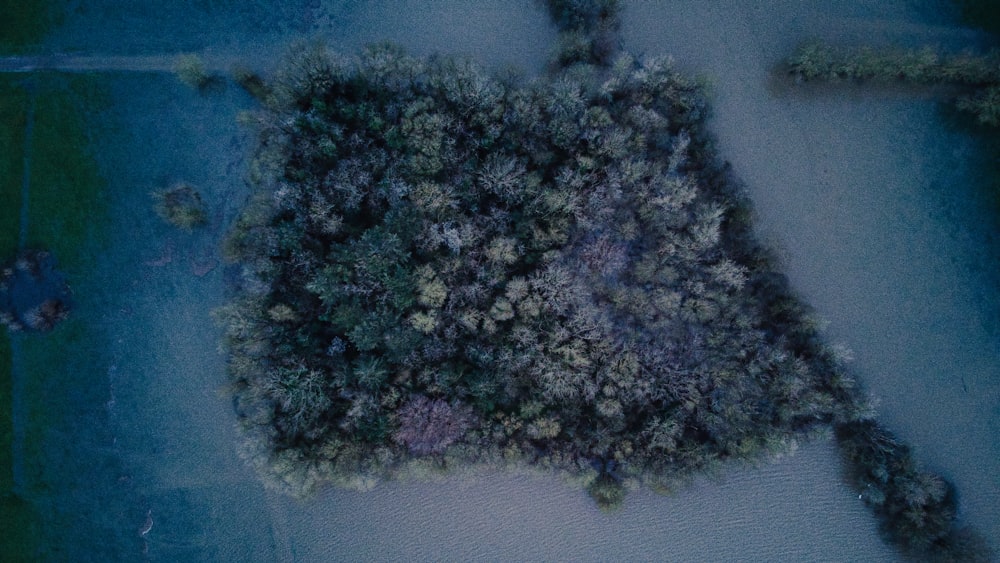 an aerial view of a tree covered area
