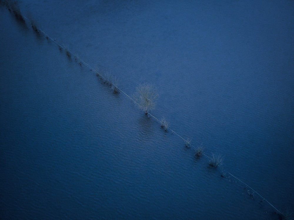 a group of people walking across a large body of water