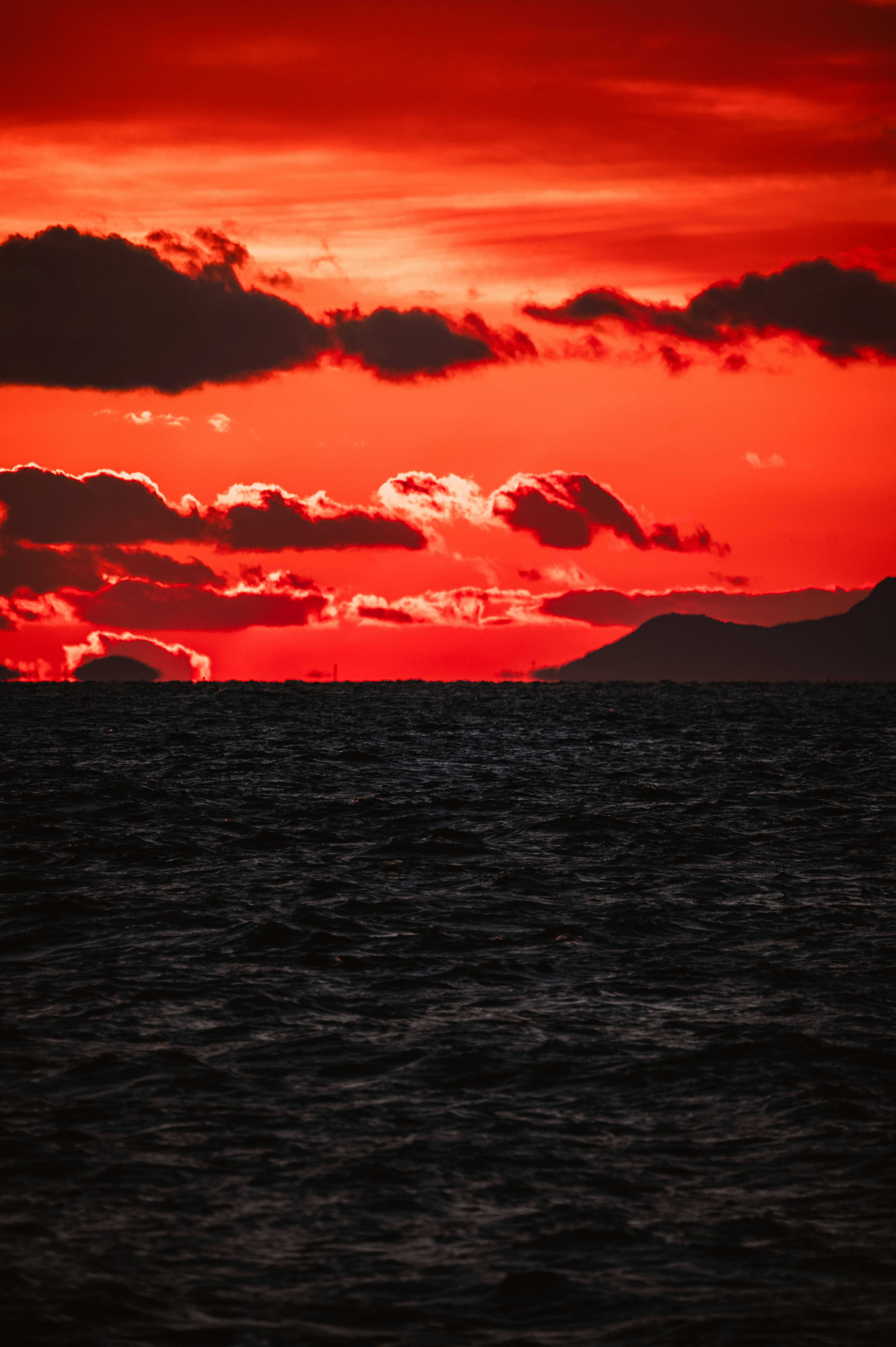 Photo by lando2