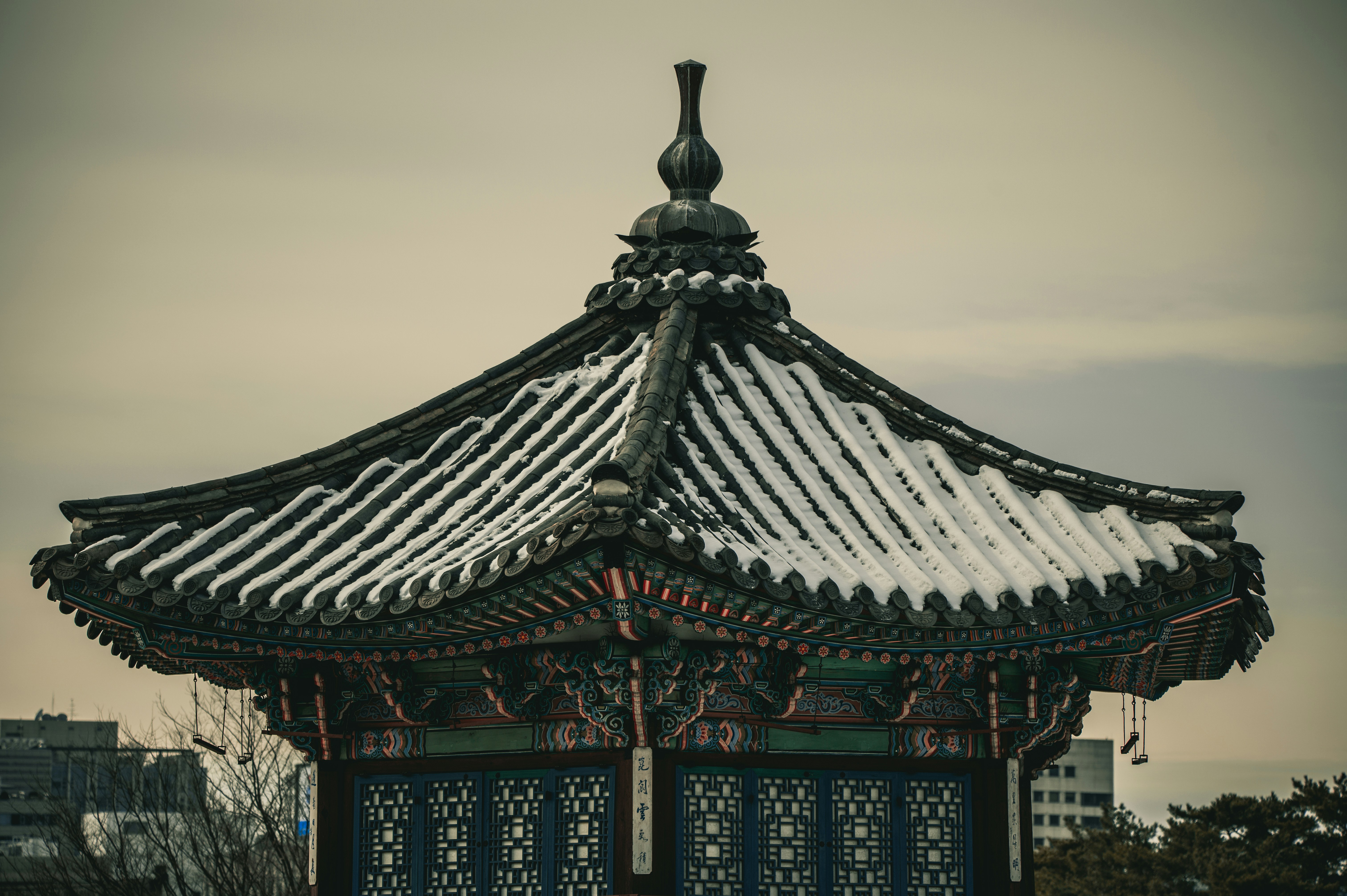 Photo by lando2