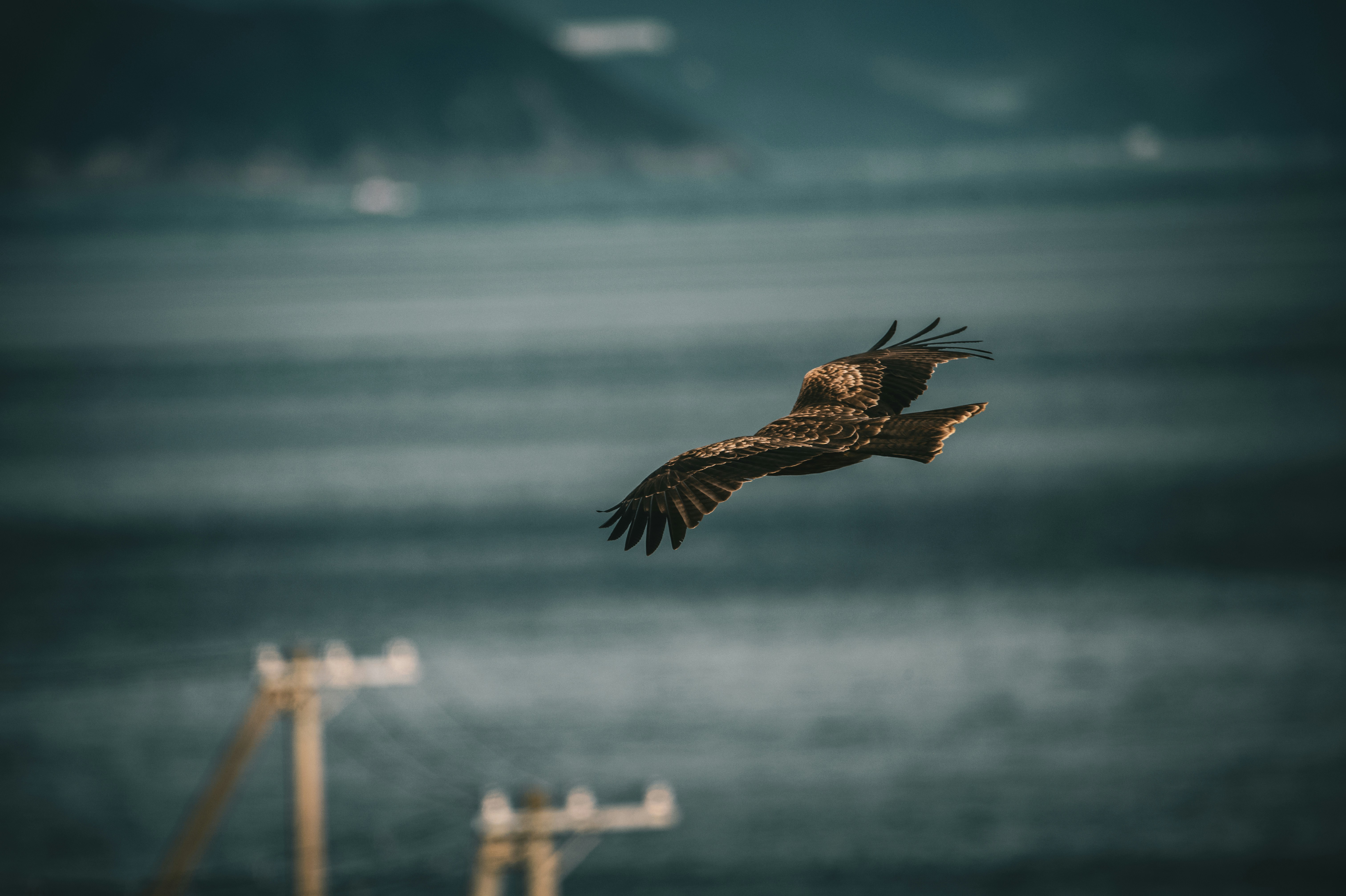 Photo by lando2