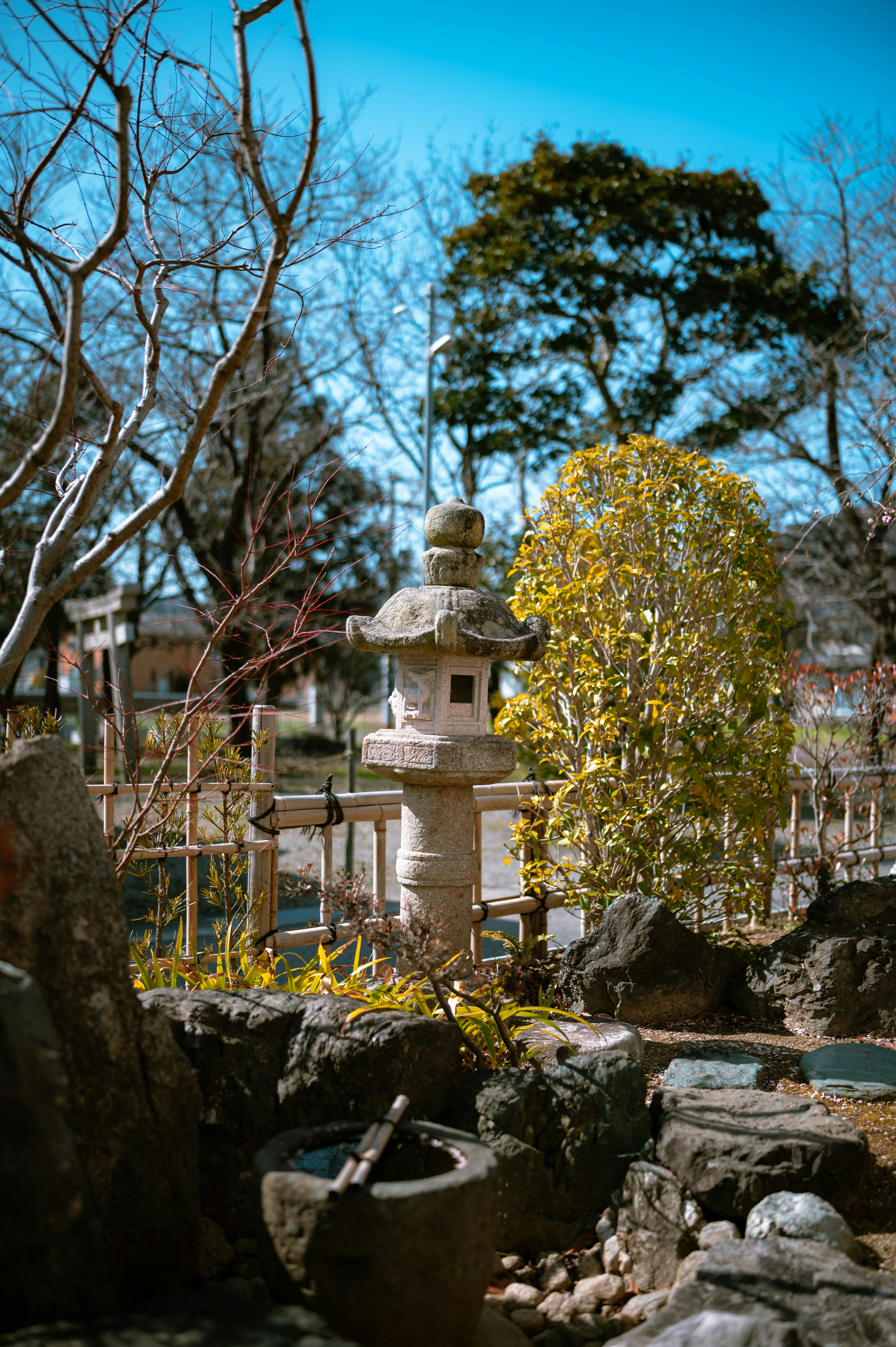 Photo by lando2