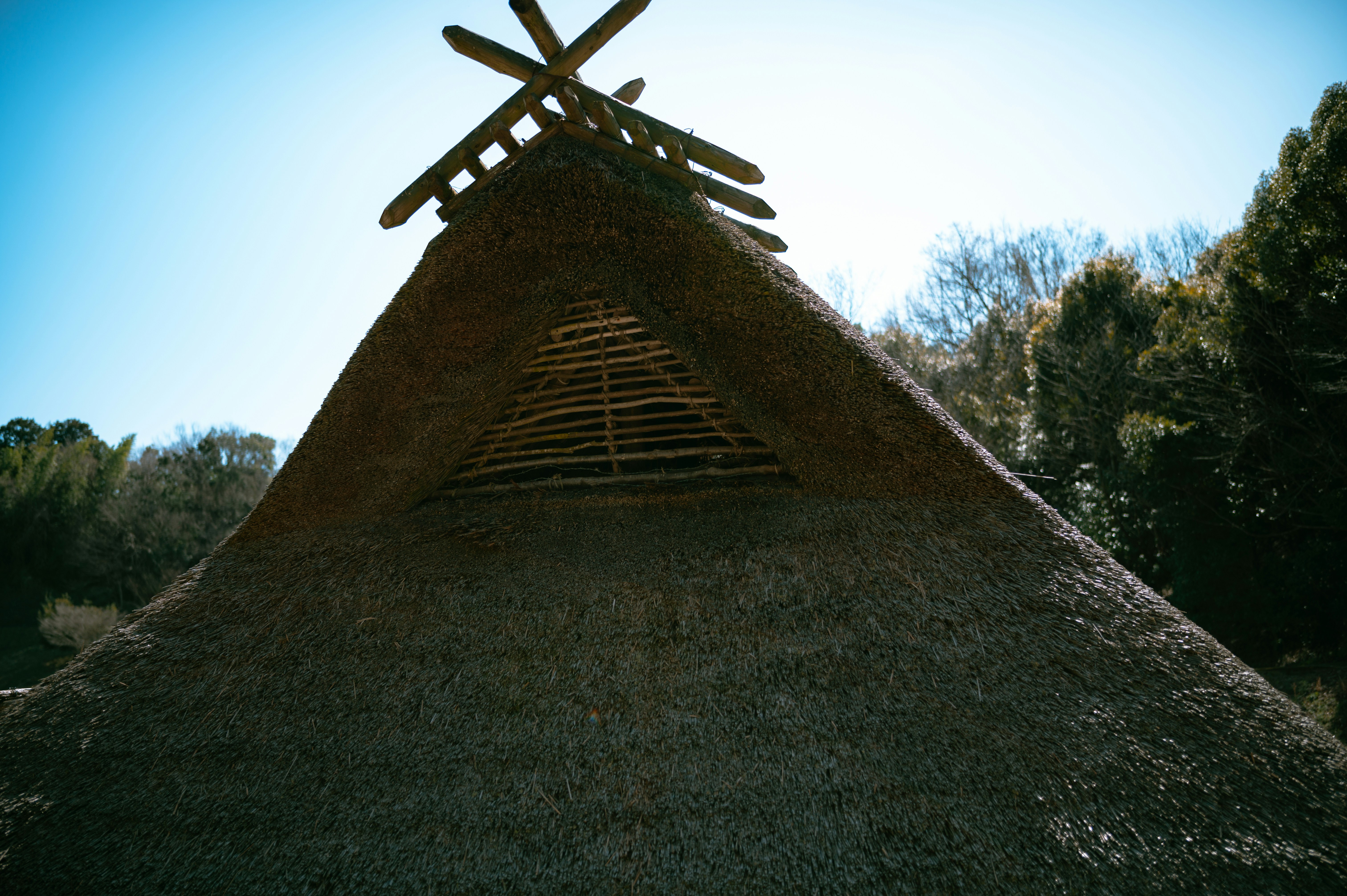 Formosan Aboriginal Culture Village photo 3
