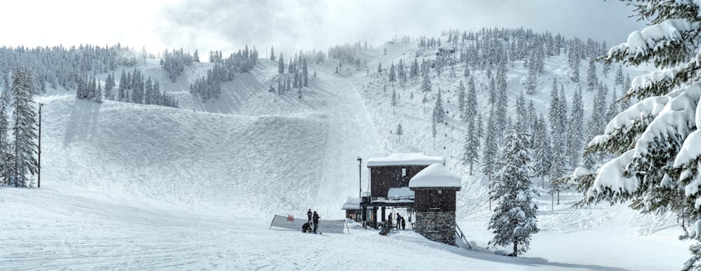 a train traveling down a snow covered mountain side