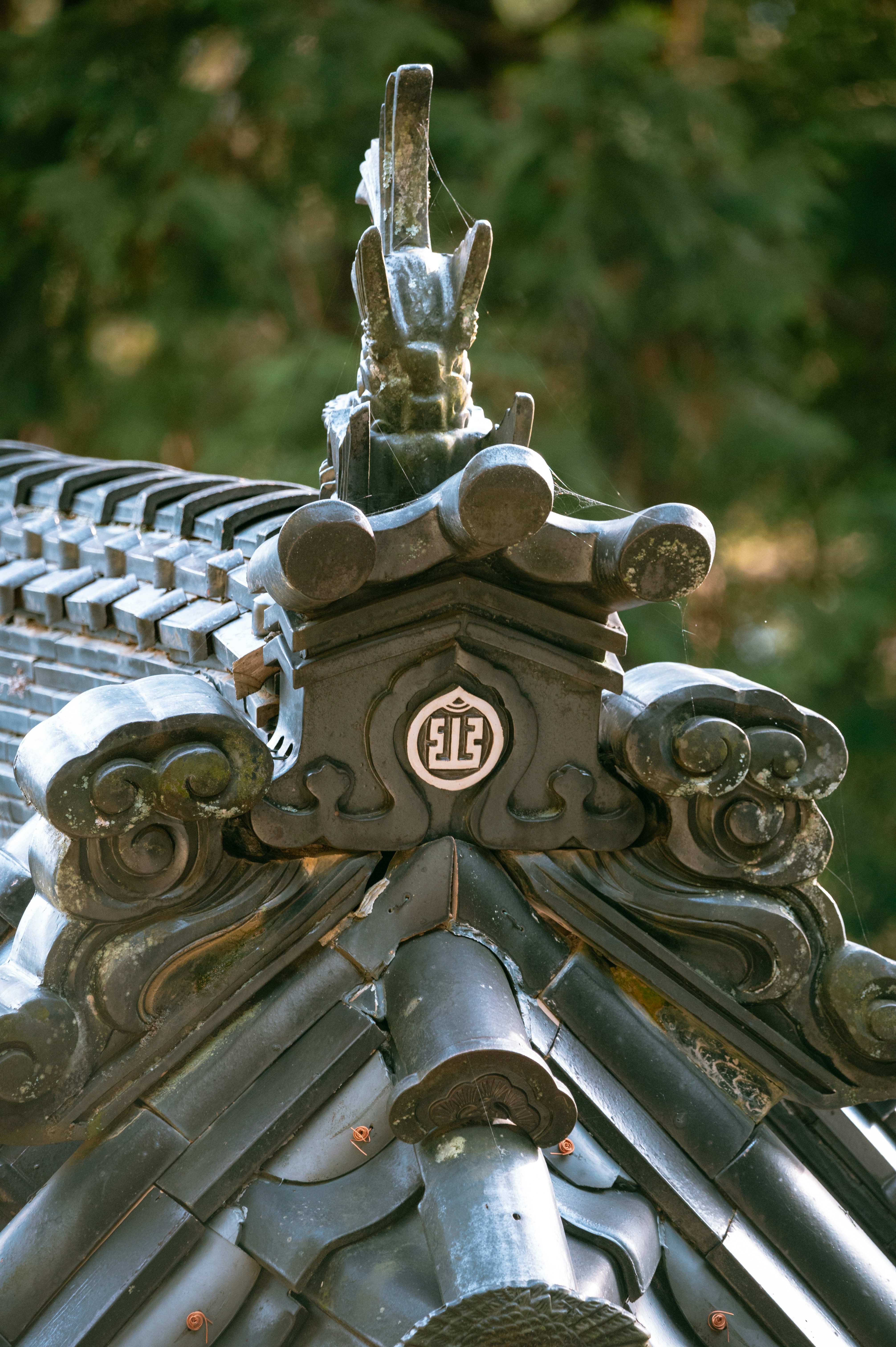 a close up of a metal roof with a tree in the background