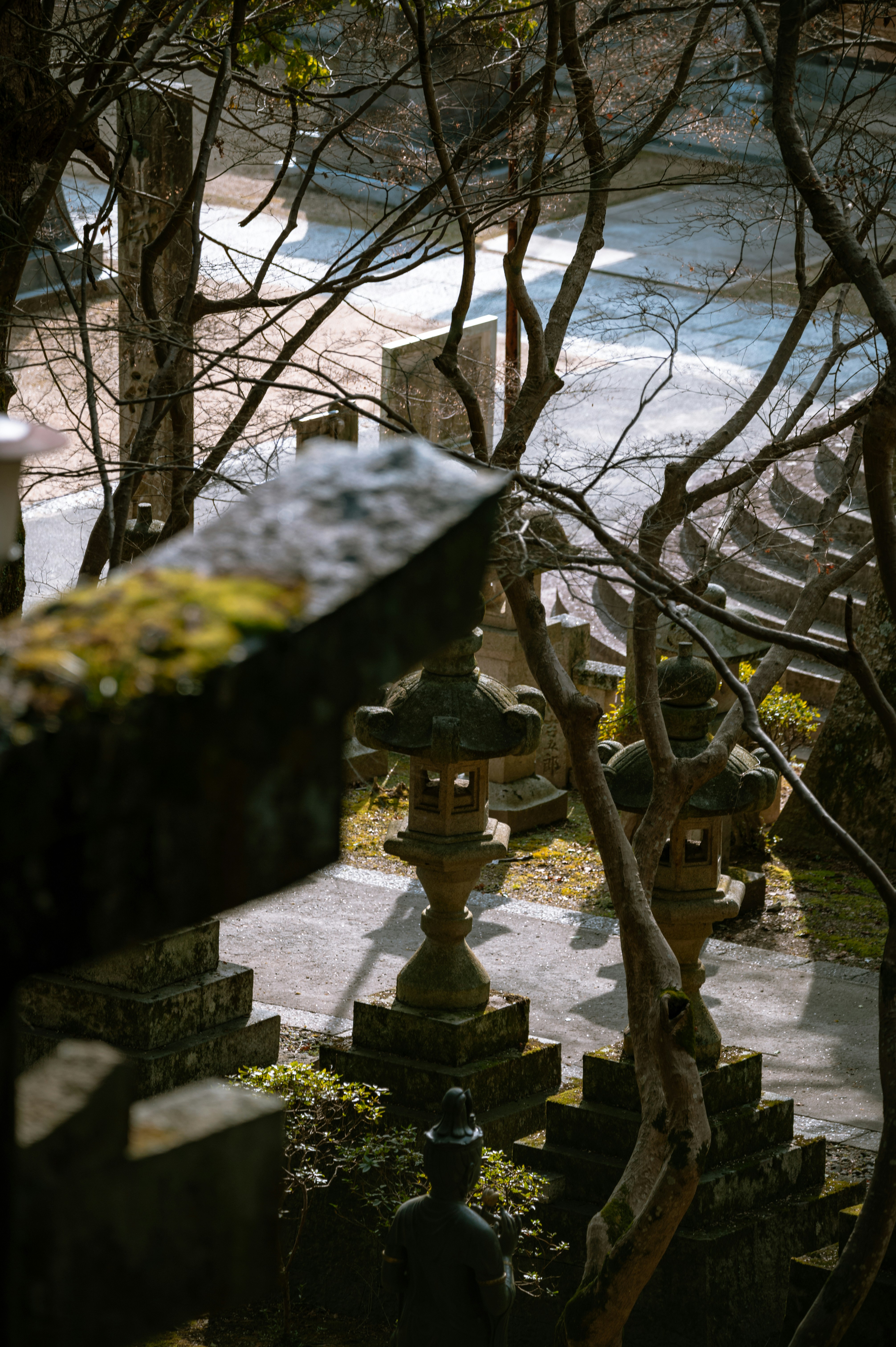 Photo by lando2