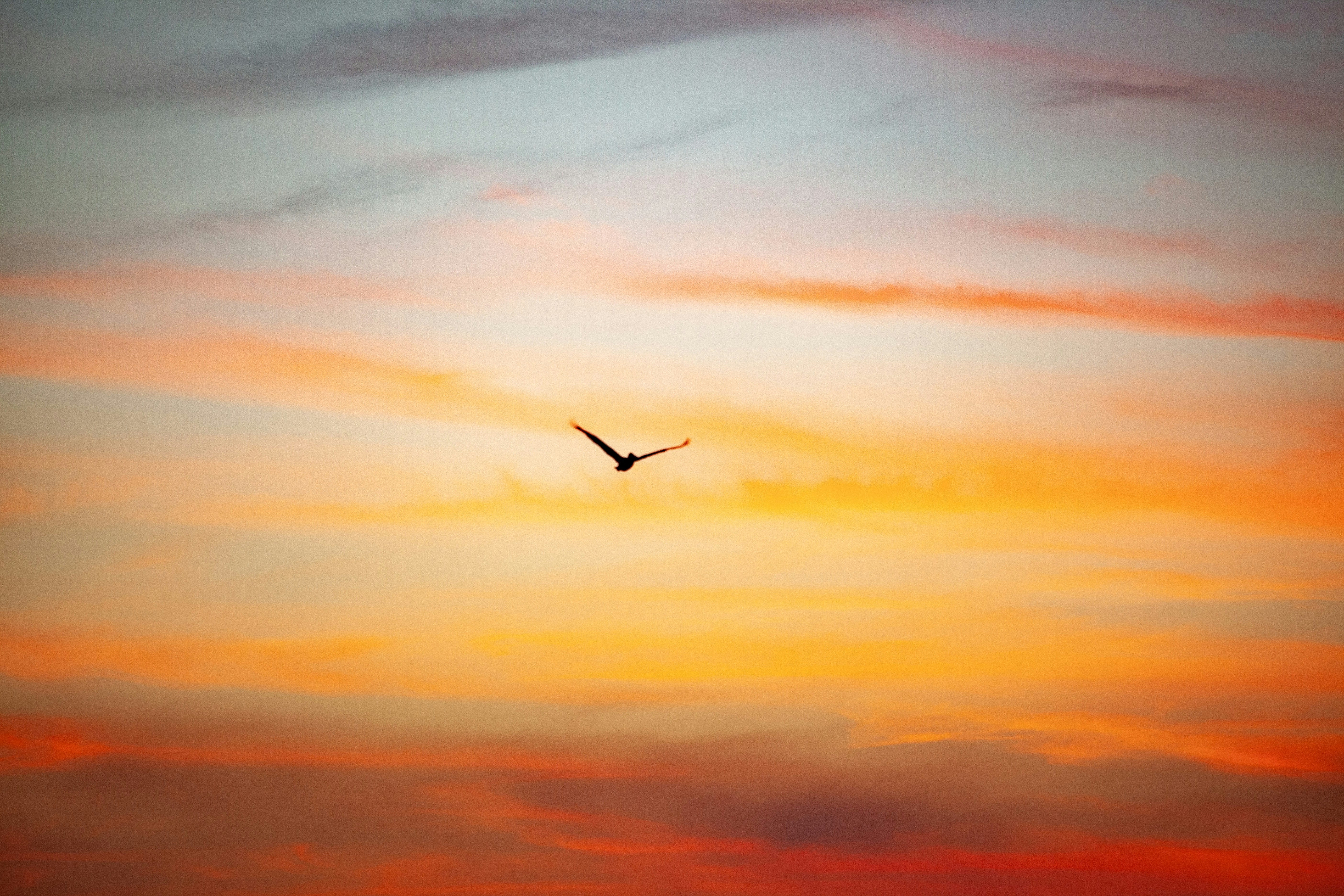 ¿Cómo romper el círculo del “si” constante y recuperar tu poder personal?