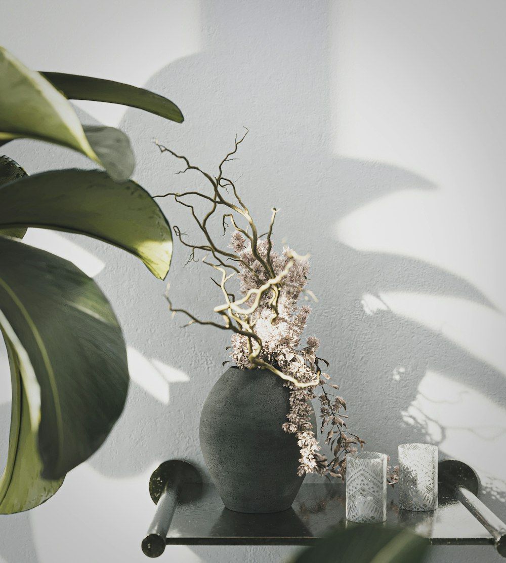 a potted plant sitting on top of a shelf