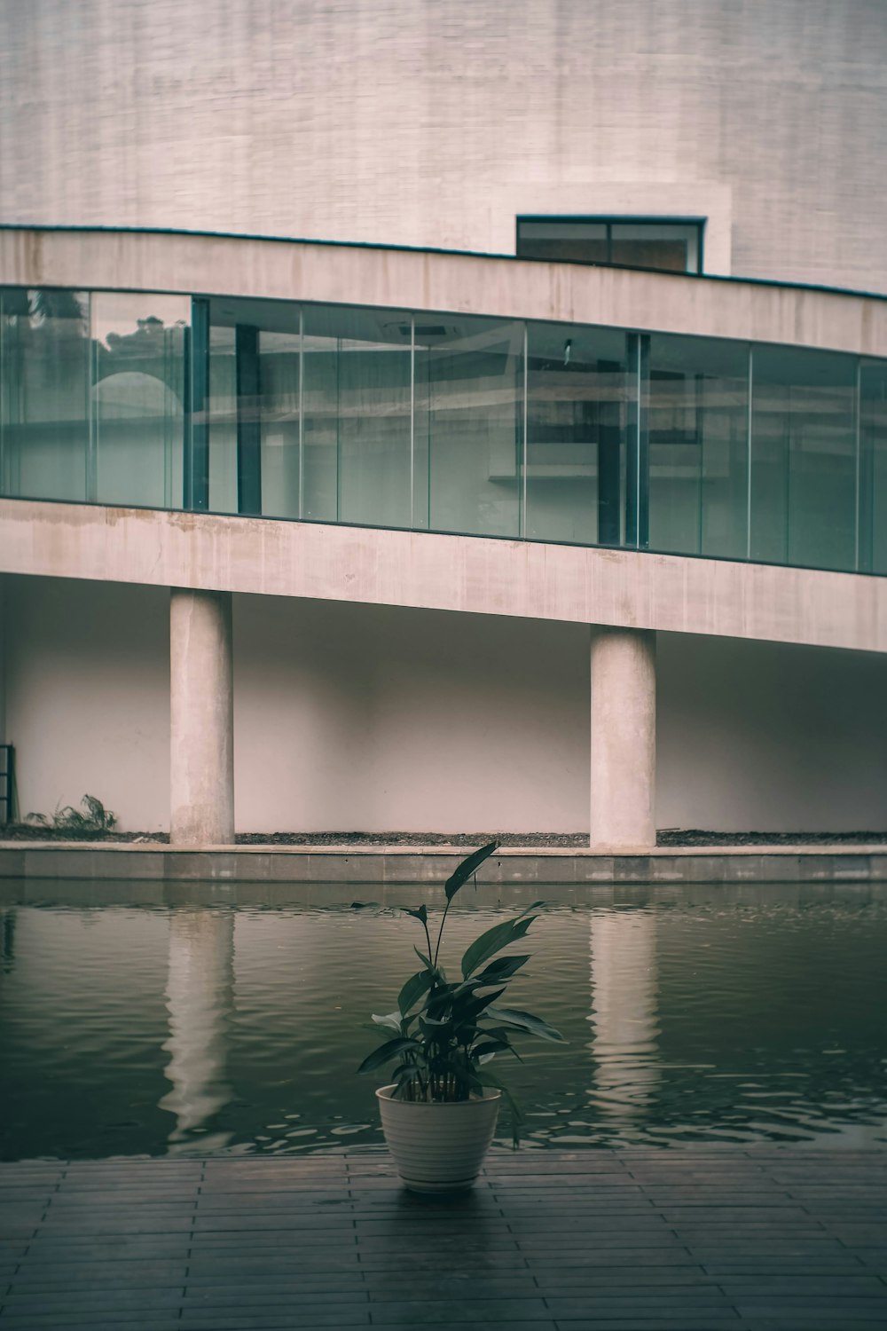 a potted plant sitting in front of a building