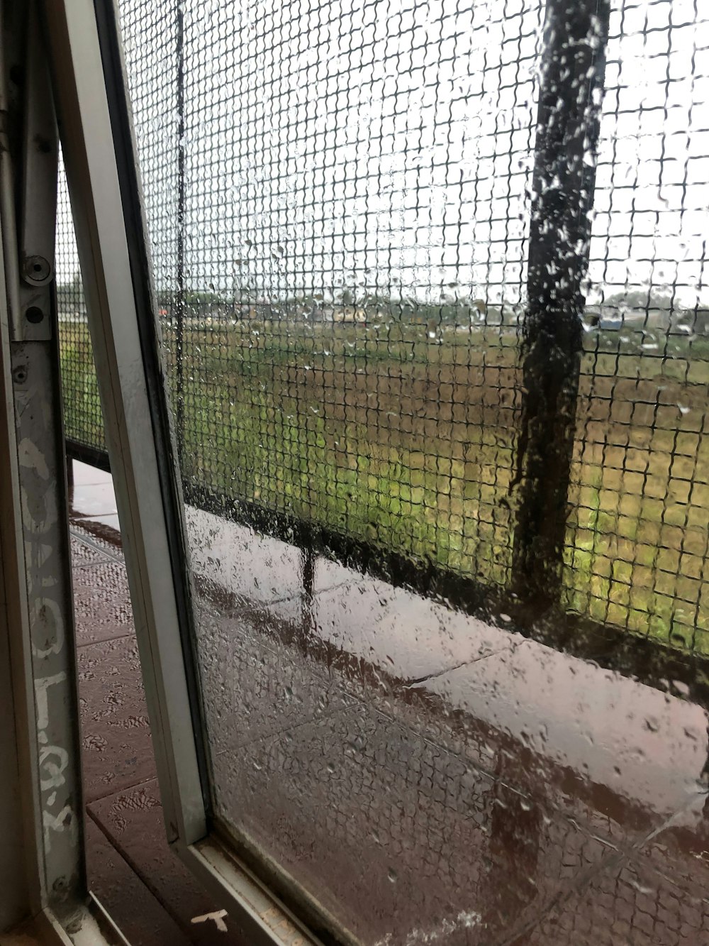 a view of a grassy field through a window