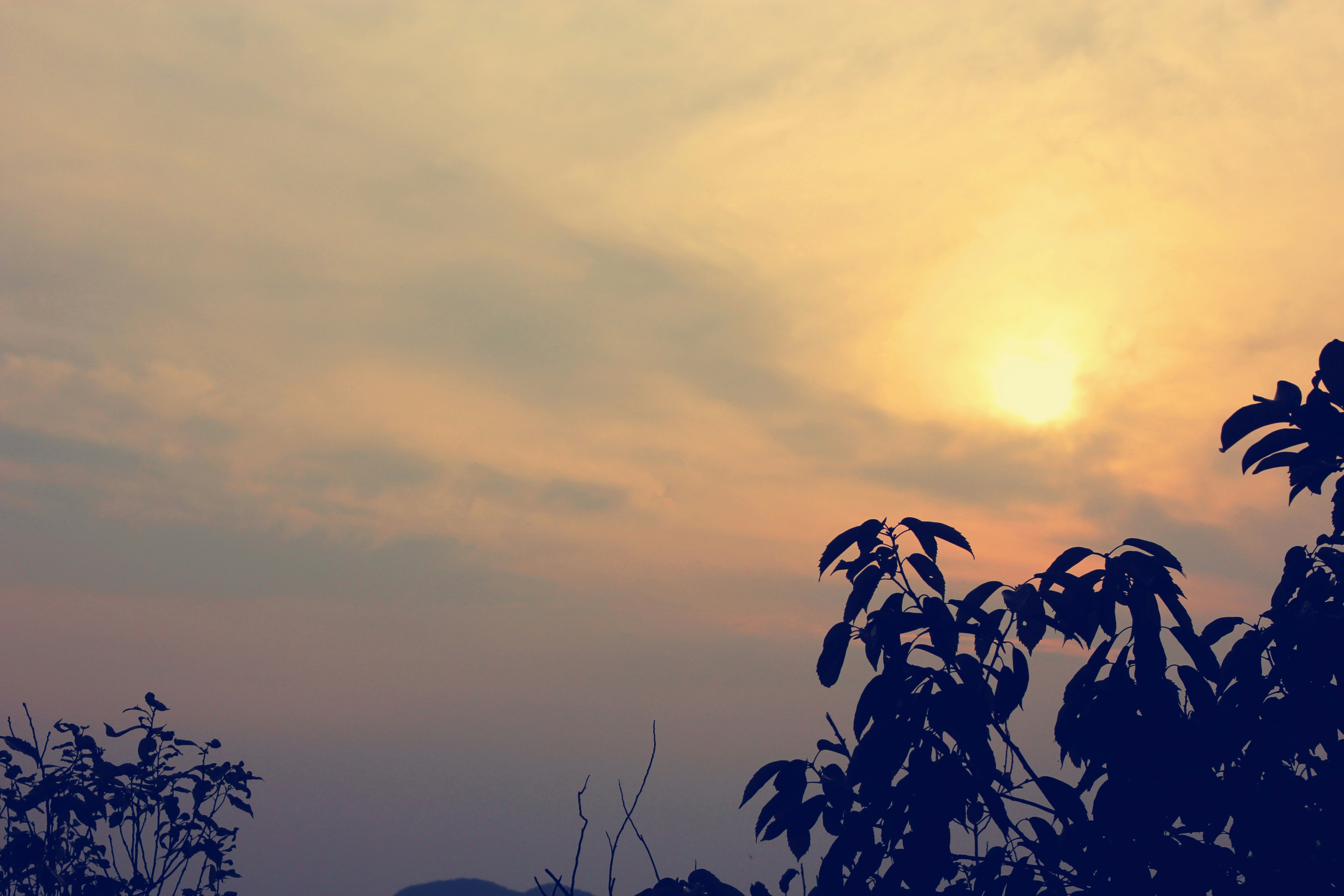 Photo by henry_zhang11