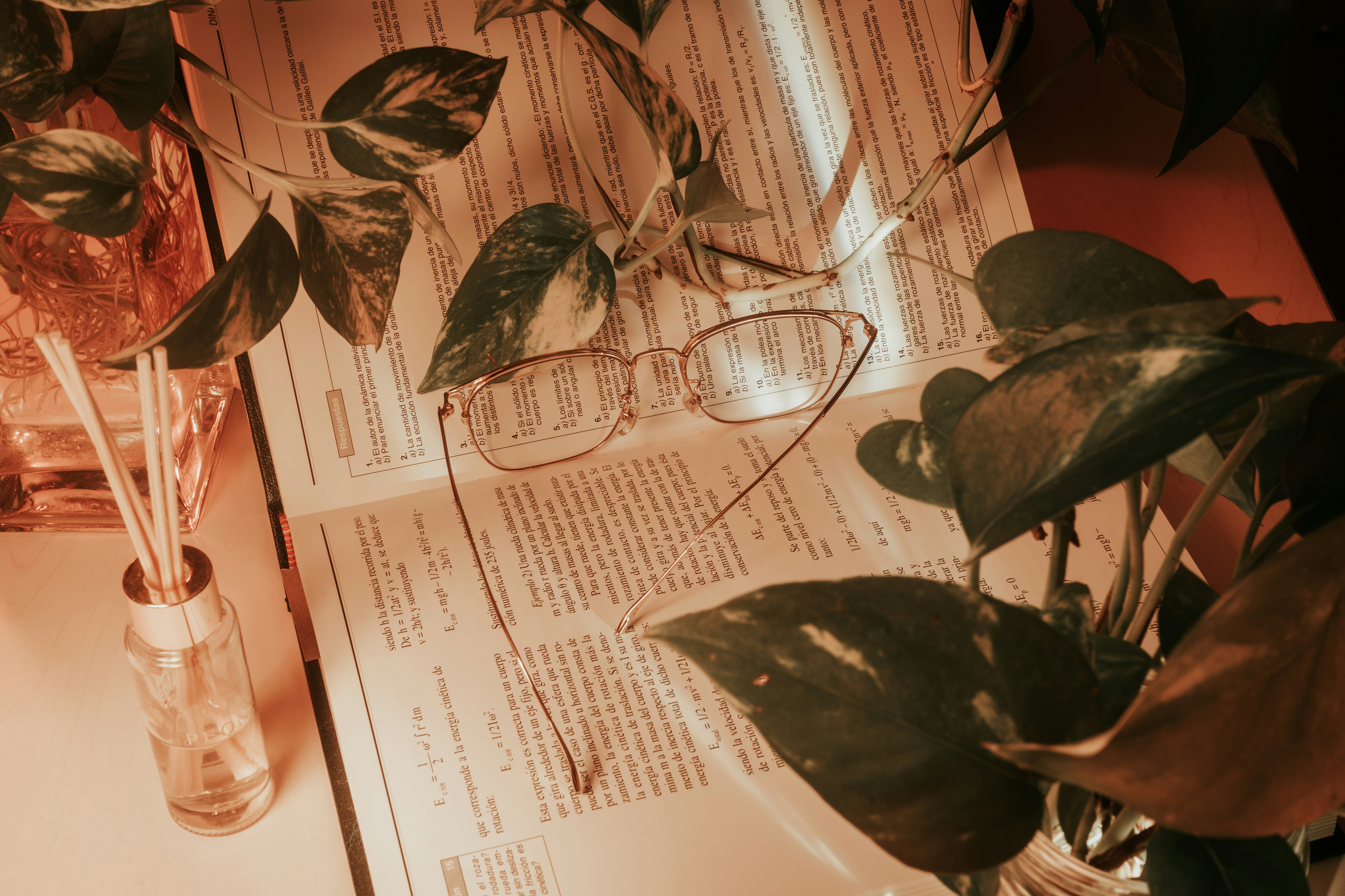 a pair of glasses sitting on top of a book next to a plant