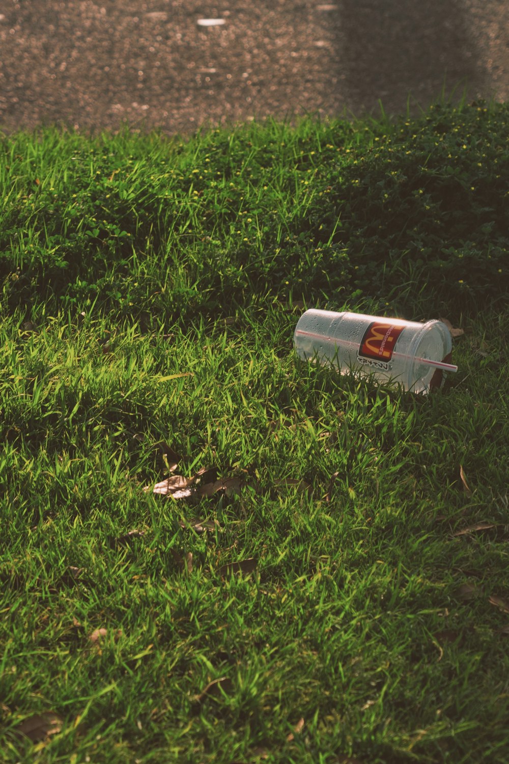 a bottle laying on the ground in the grass