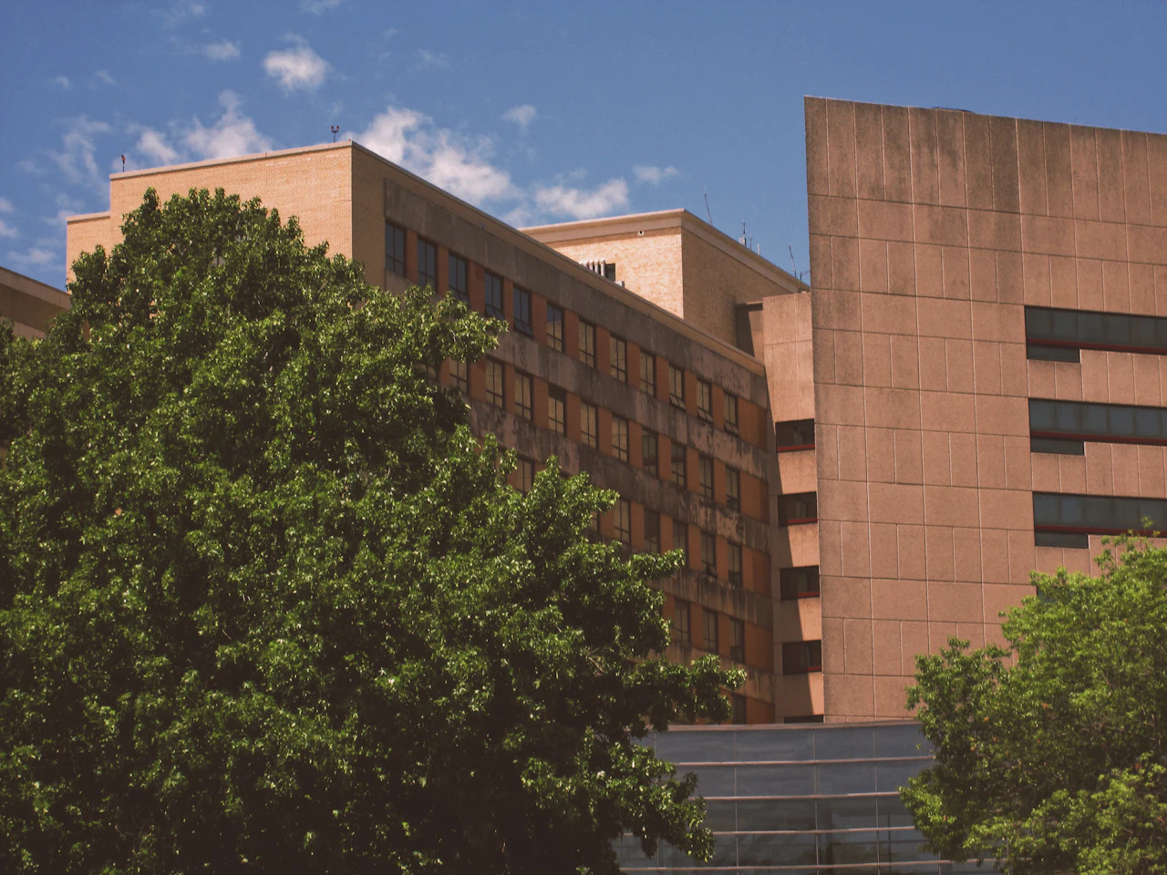 Timberland REITs Explained