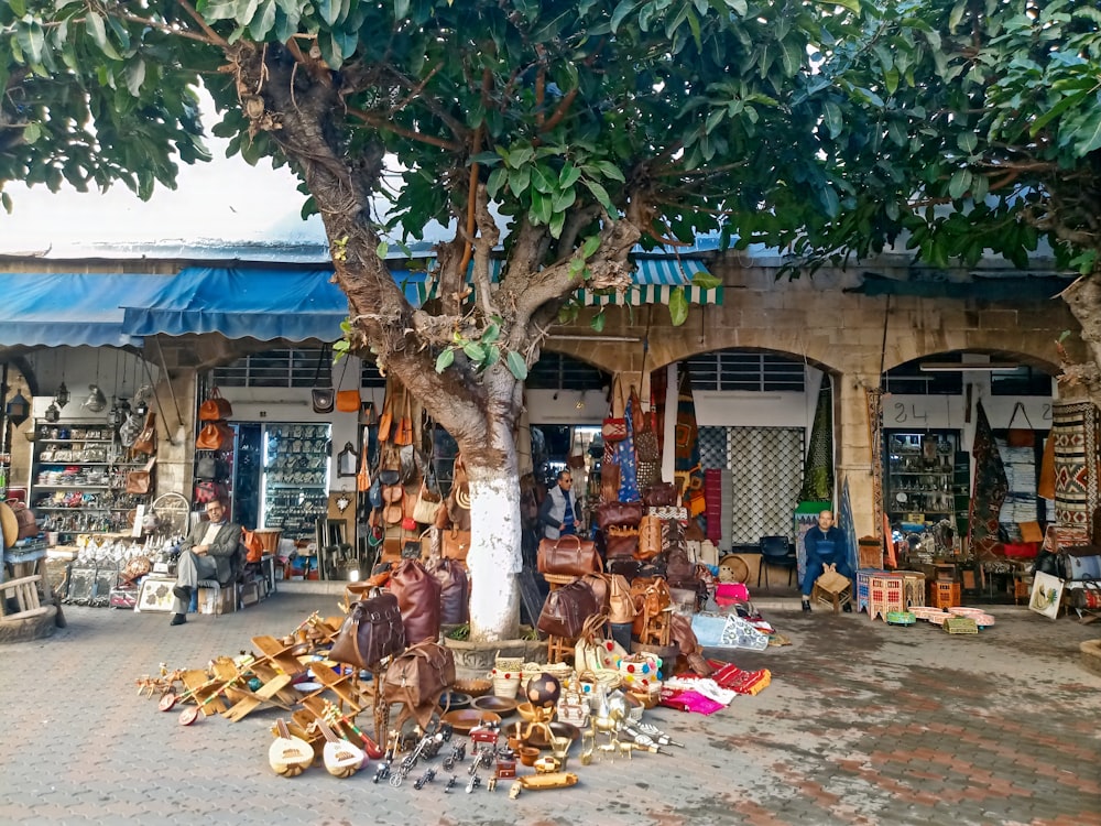 a group of people standing around a tree in front of a store