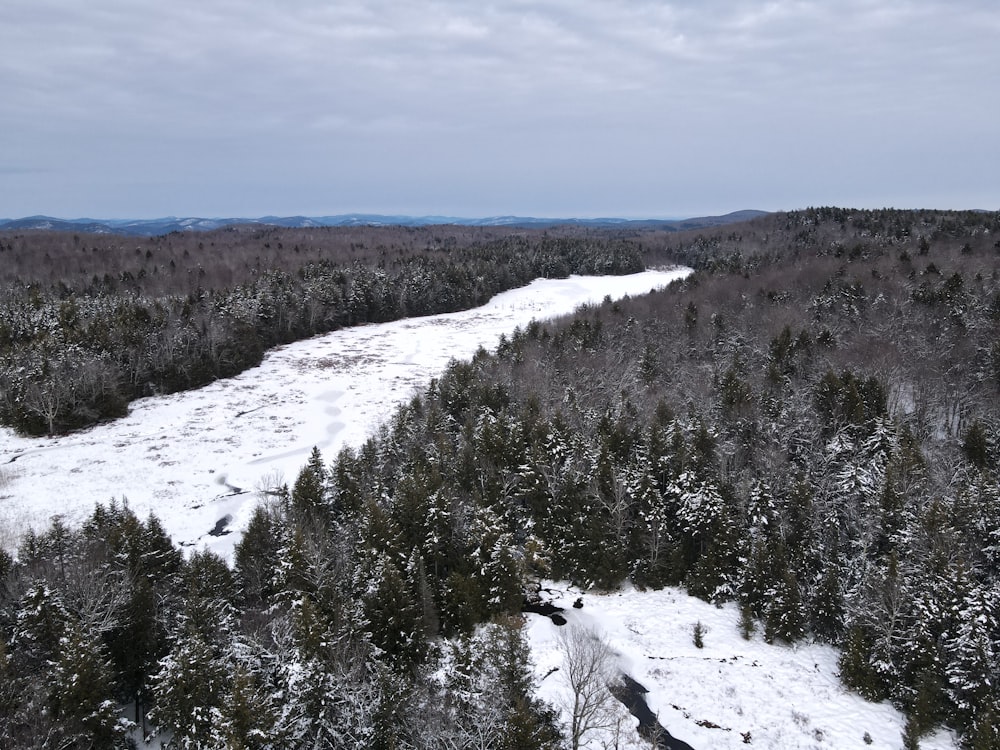 un fiume che scorre attraverso una foresta innevata