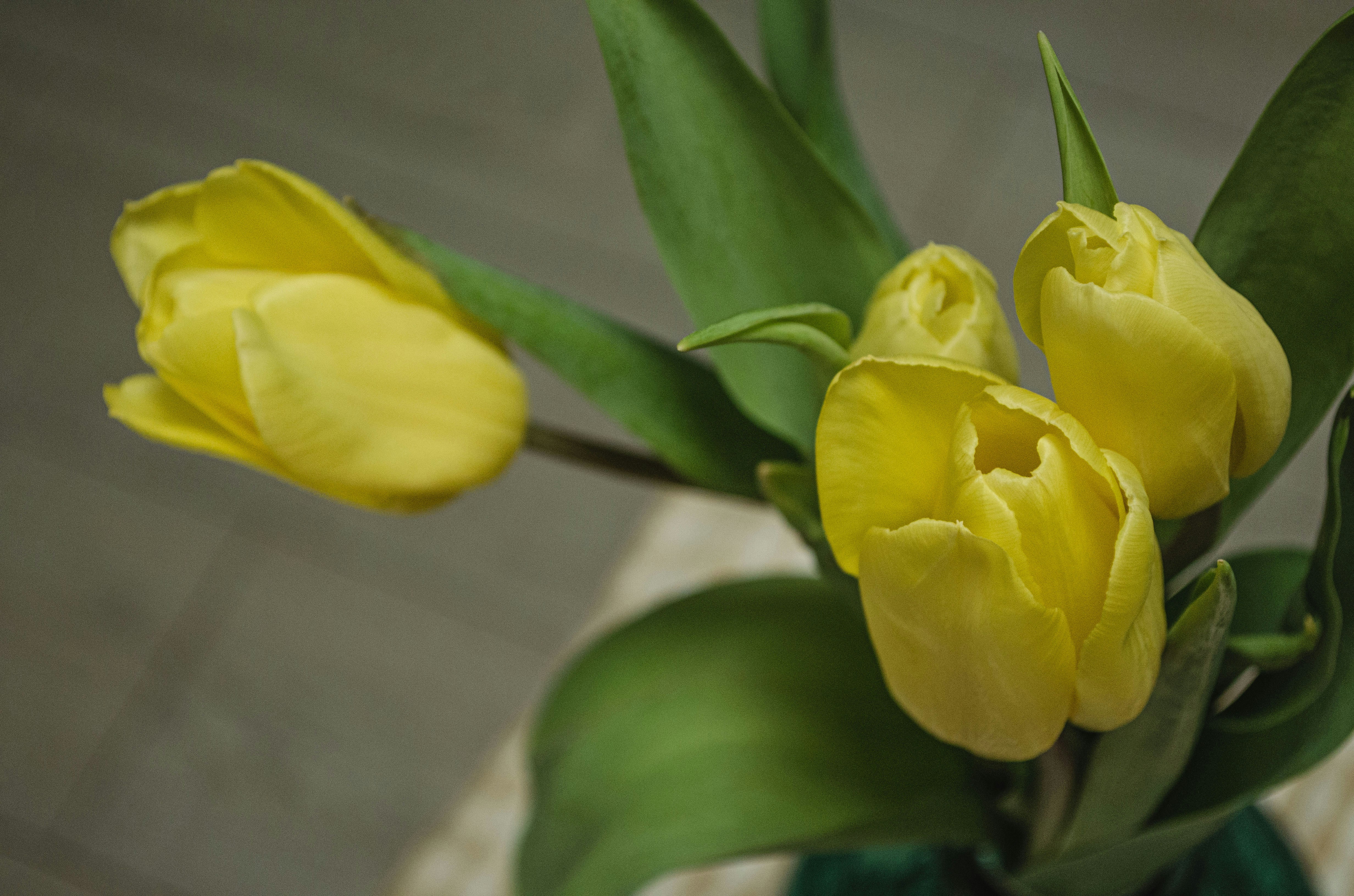 Photo by indi_grunge