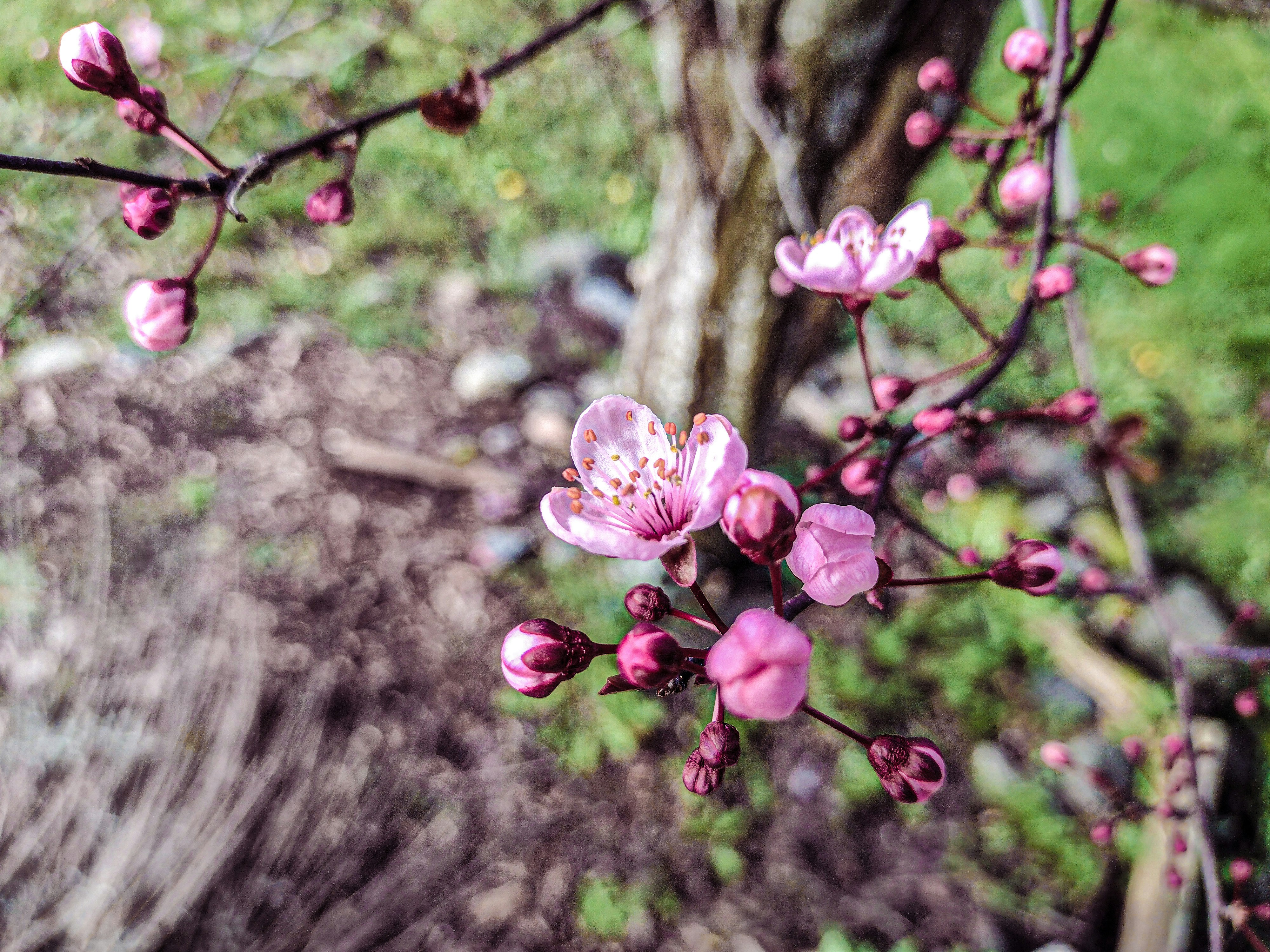 Photo by prphotography262