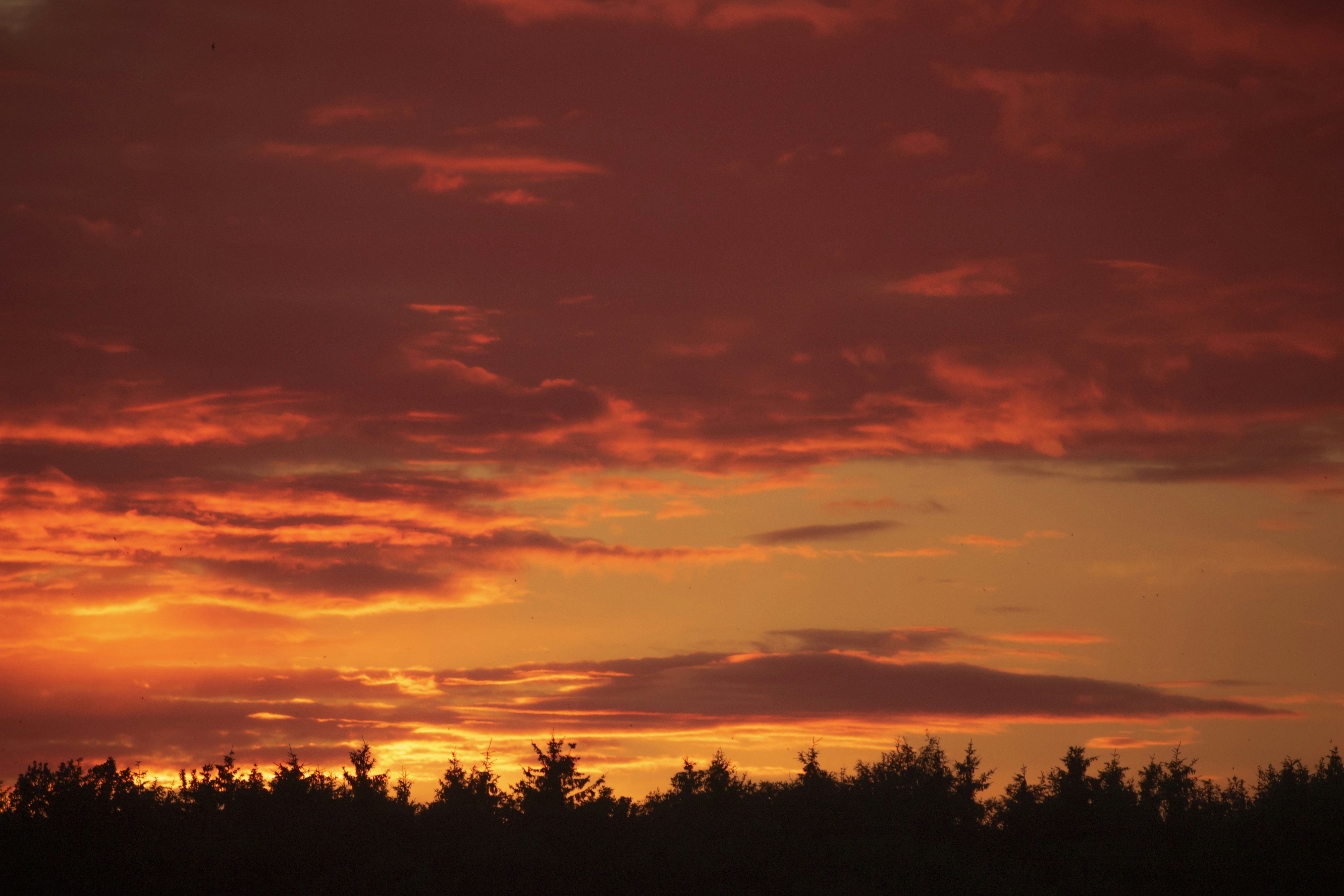 Photo by darkmoon_afa