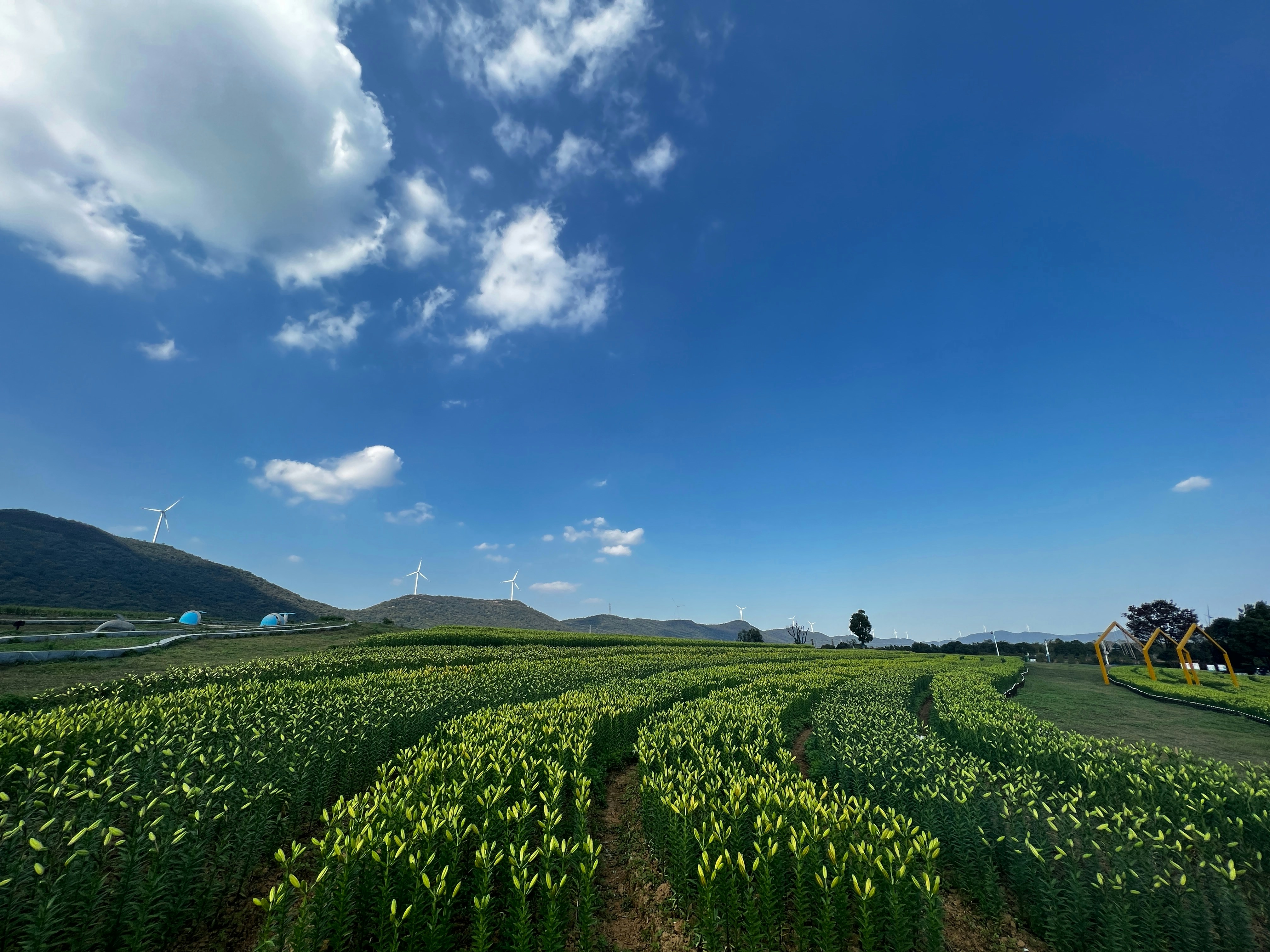 Photo by wangchonghu
