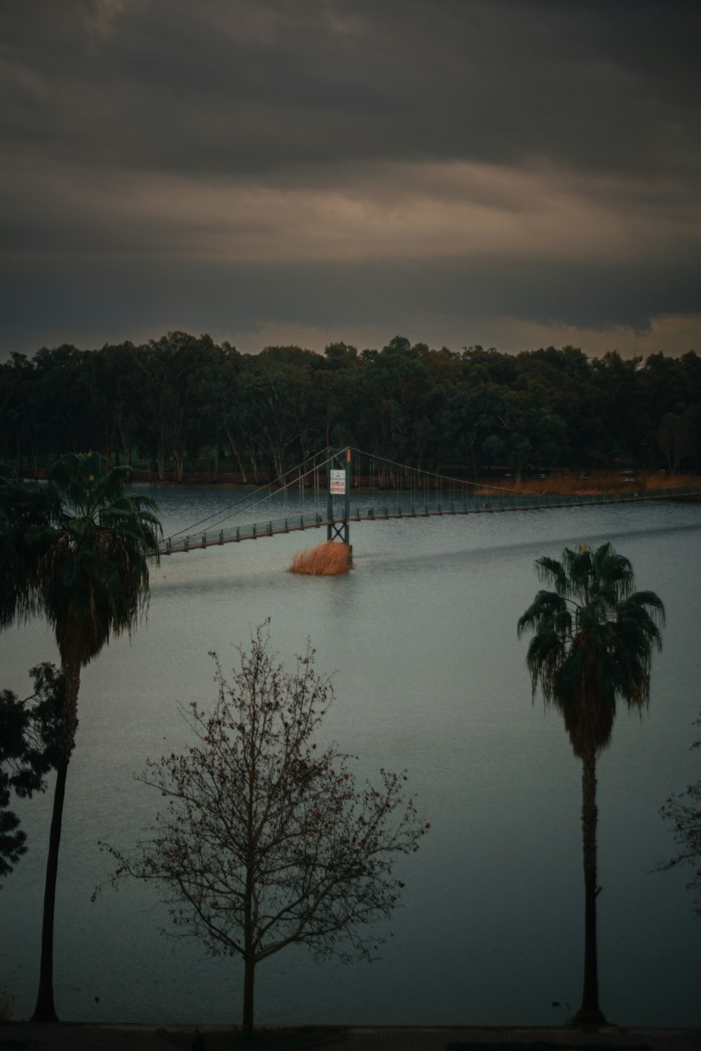 a body of water surrounded by trees and a bridge