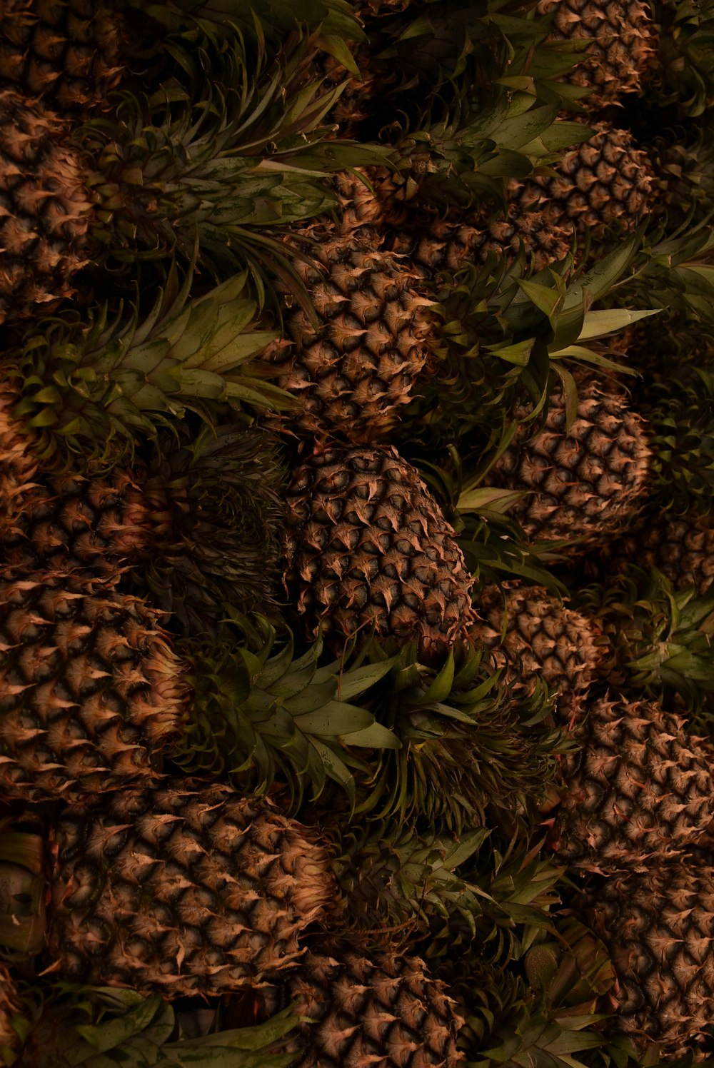 a bunch of pineapples are piled on top of each other