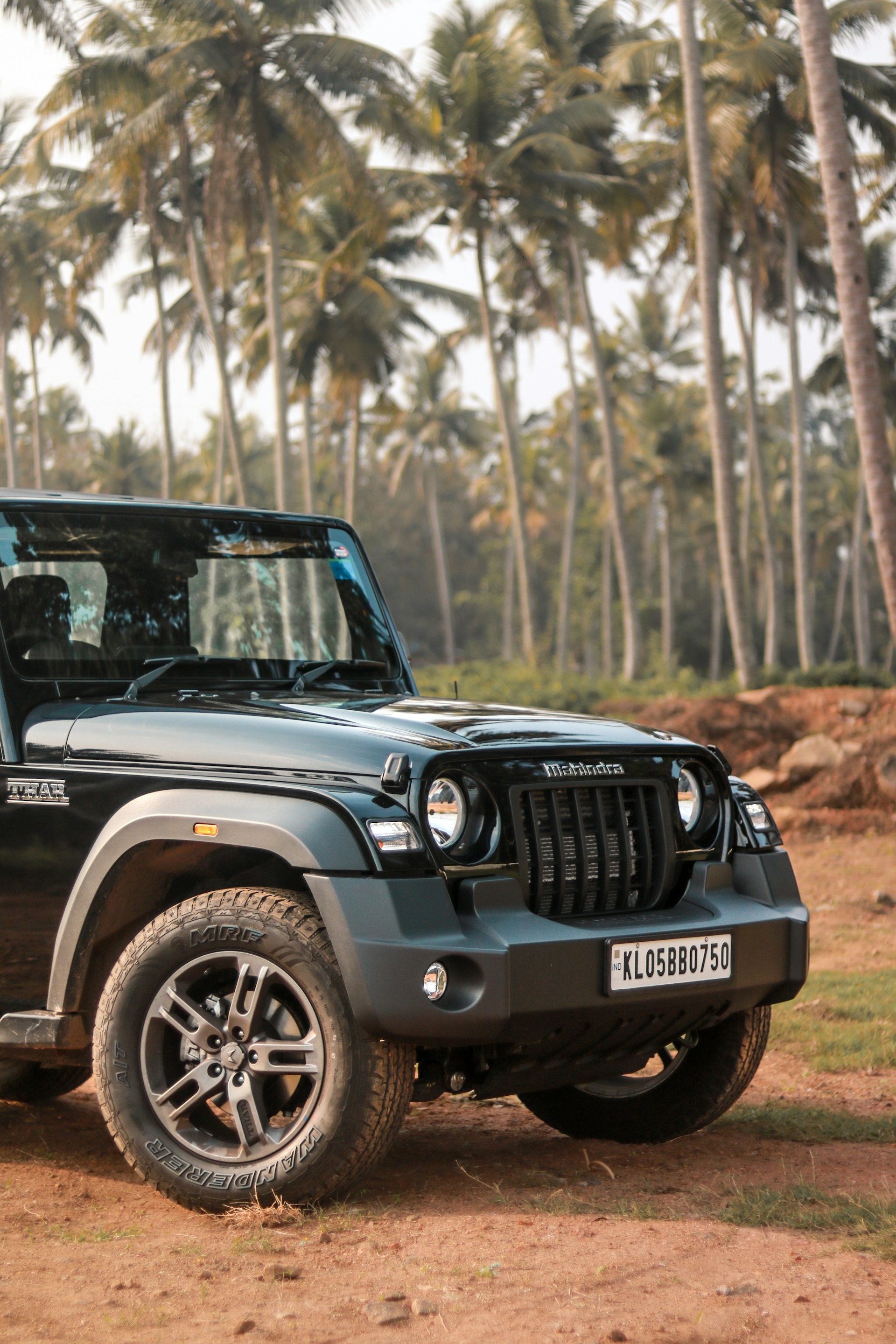 a jeep parked on a dirt road in front of palm trees