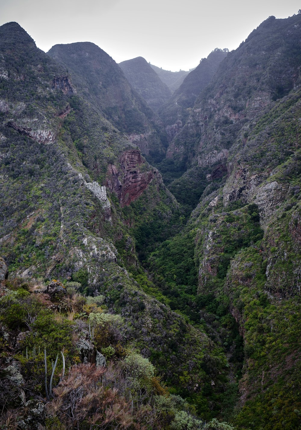 a view of a valley with mountains in the background