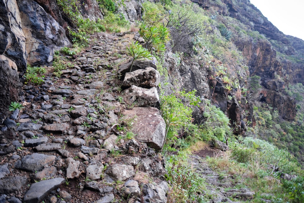 a rocky path with grass and rocks on the side of a mountain